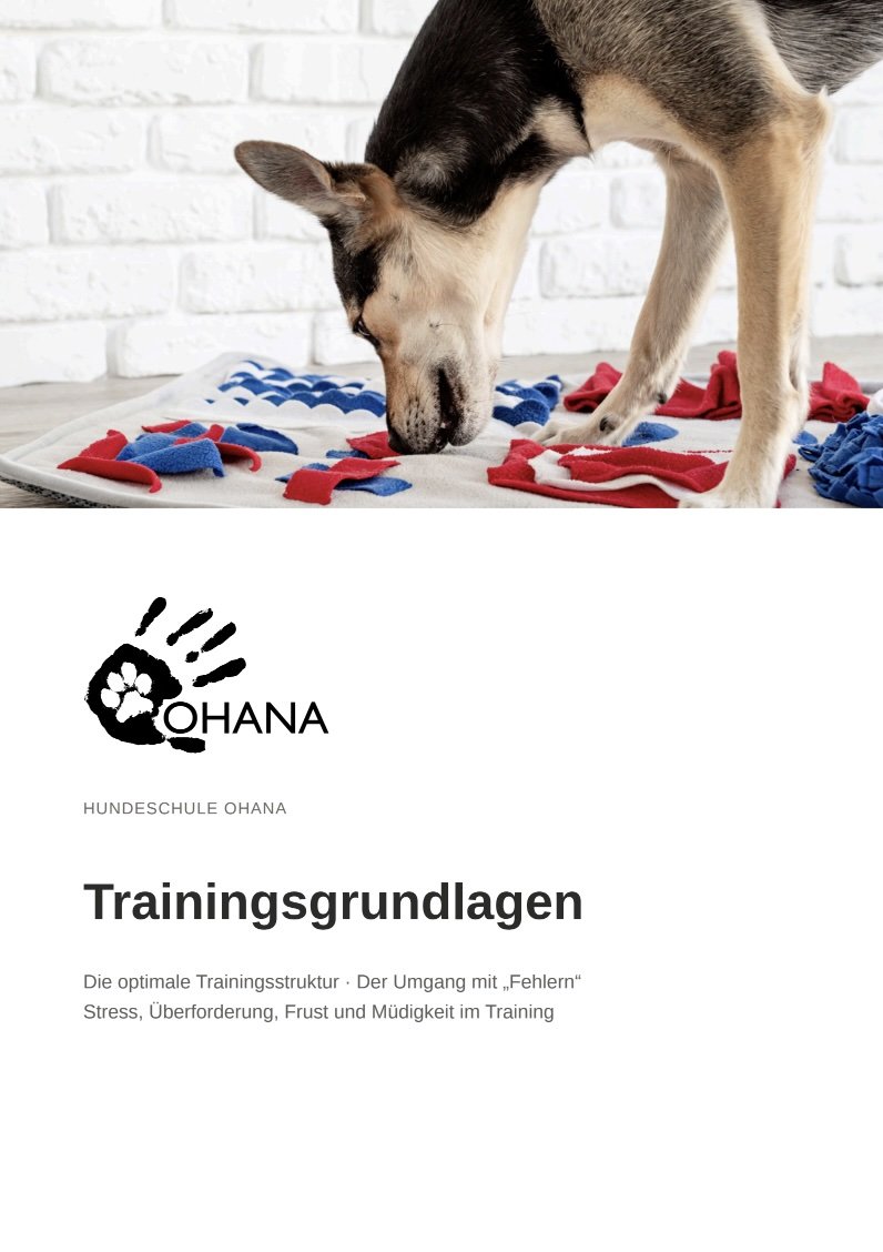 OHANA Trainingsgrundlagen