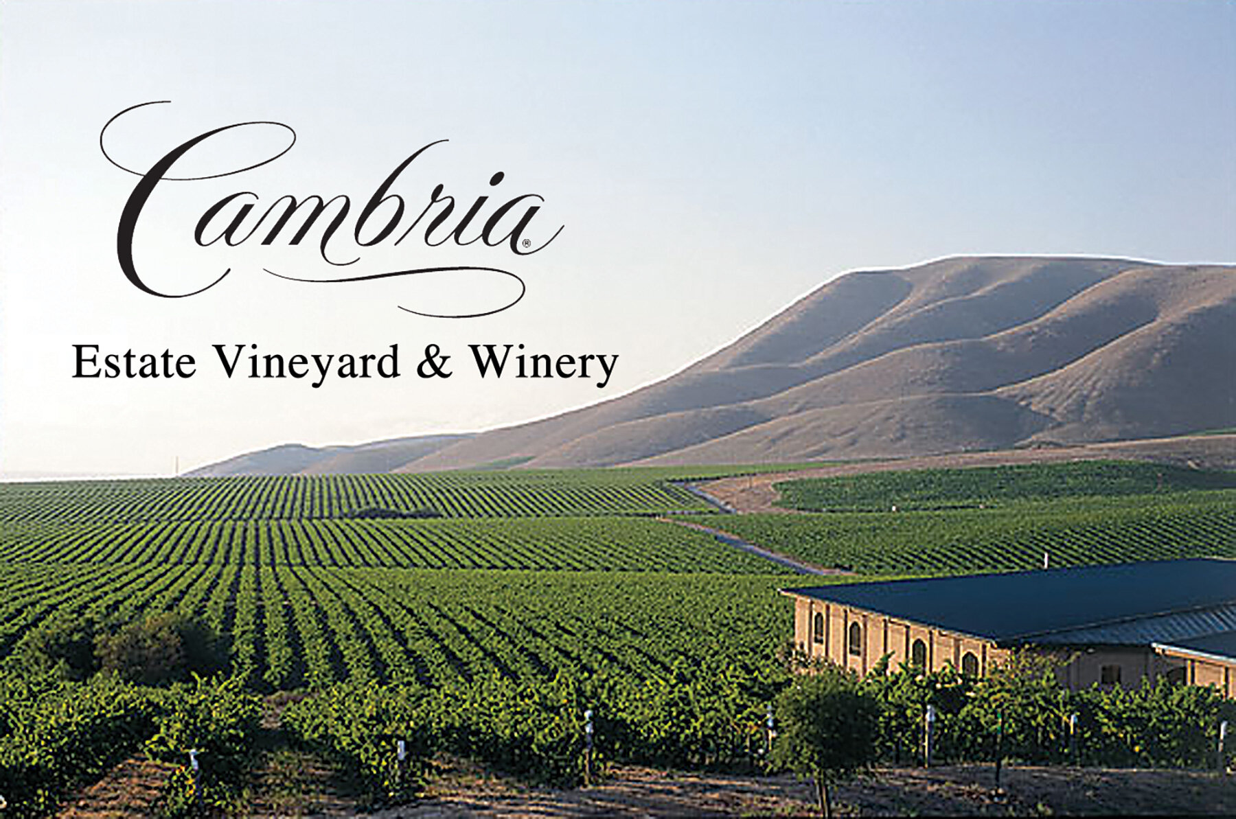 Cambria Estate Winery