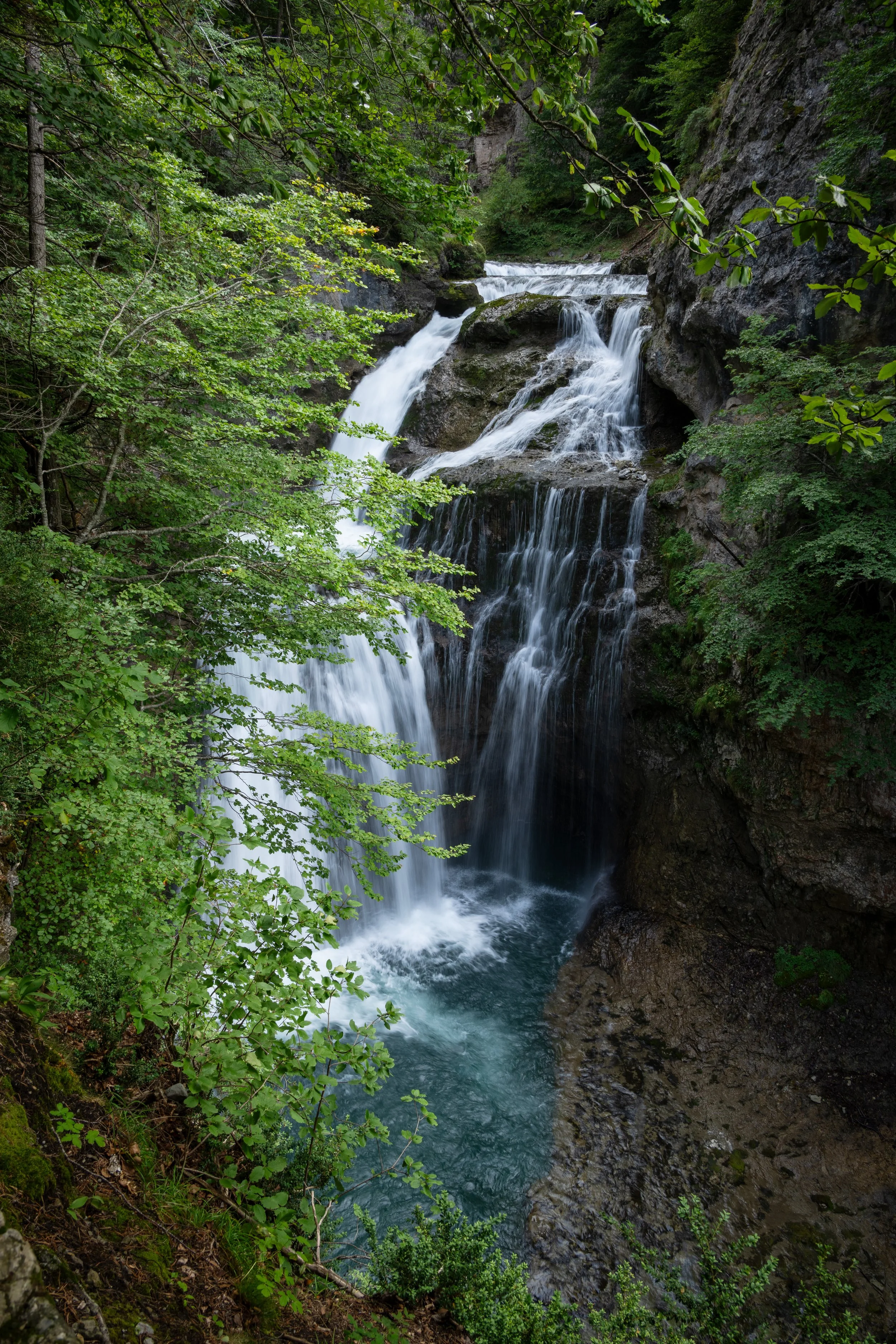 _DSC1221-1.jpg