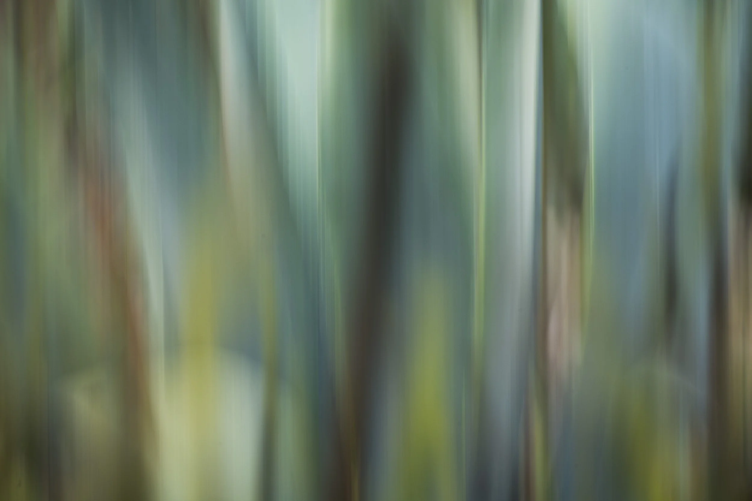 _DSC3961-Modifier.jpg