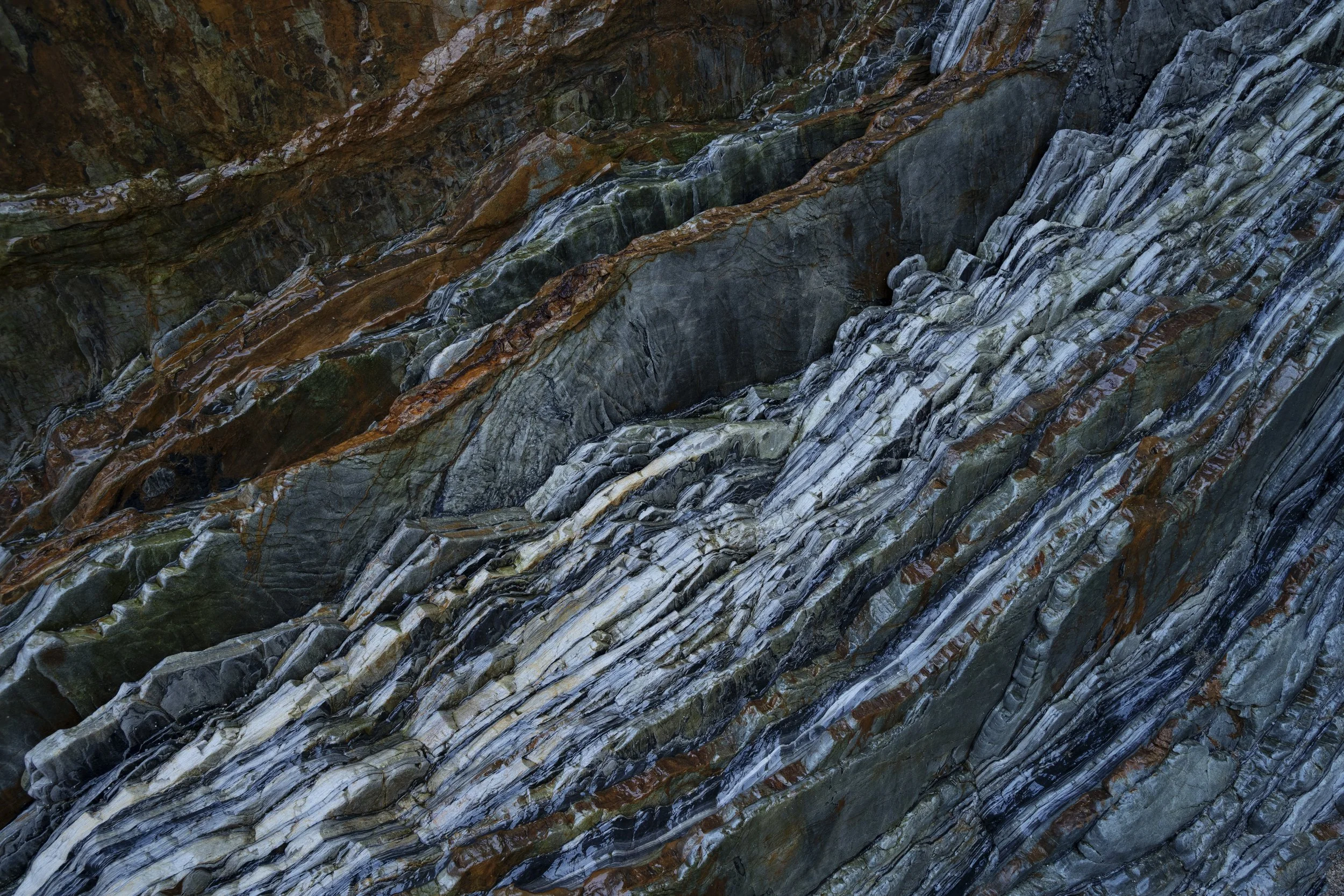 _DSC7541.jpg