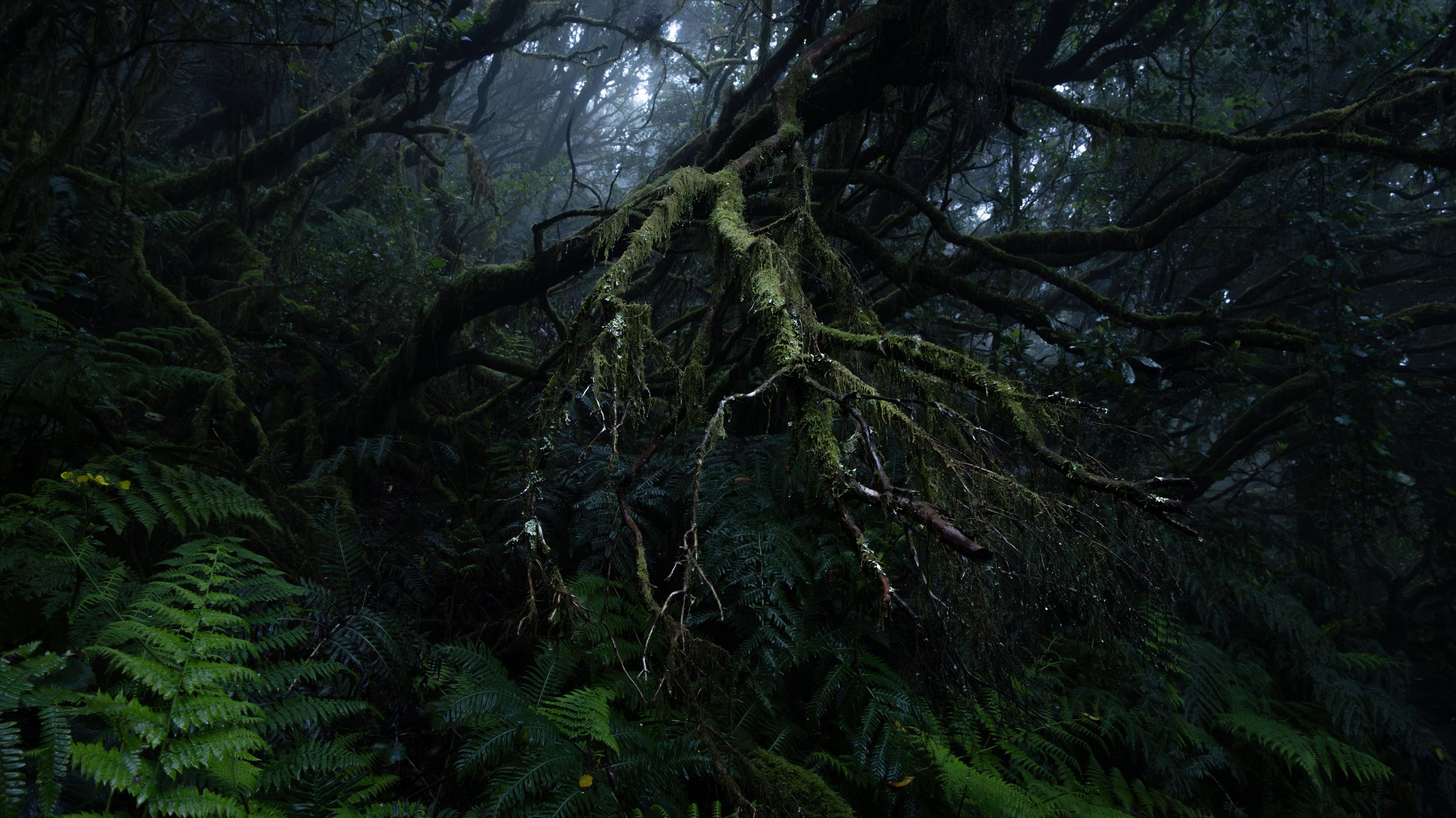 _DSC8266.jpg