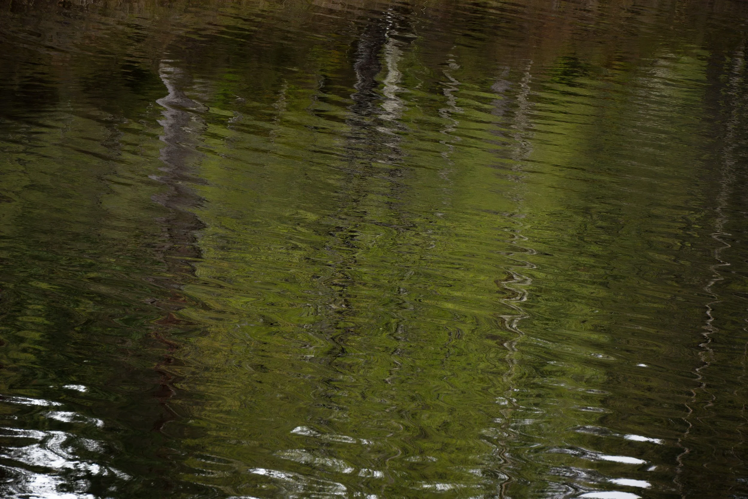 Critique de 3 photos