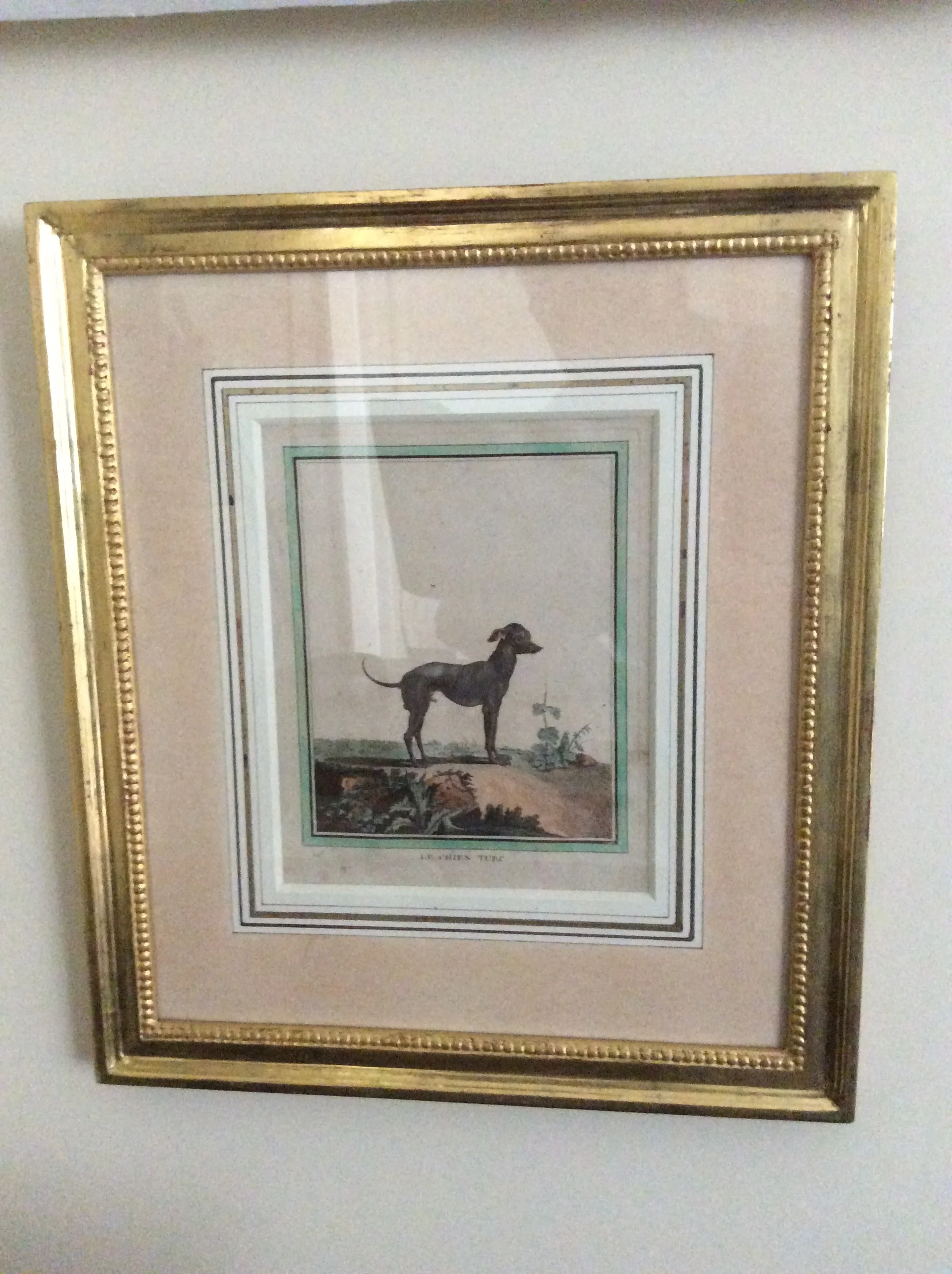  Water-gilded Frame. Water-colour-wash Mount. 