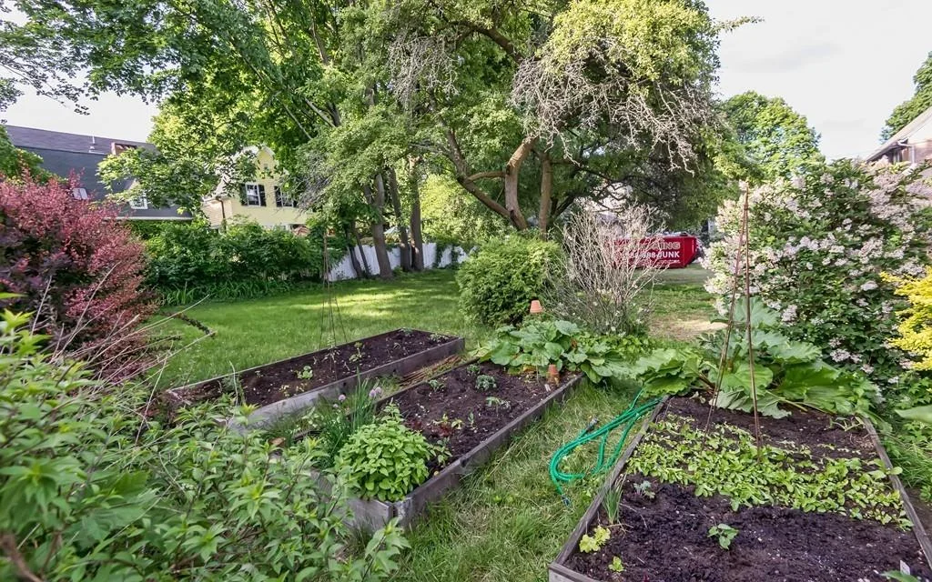 Ward 3: Patti Morsillo