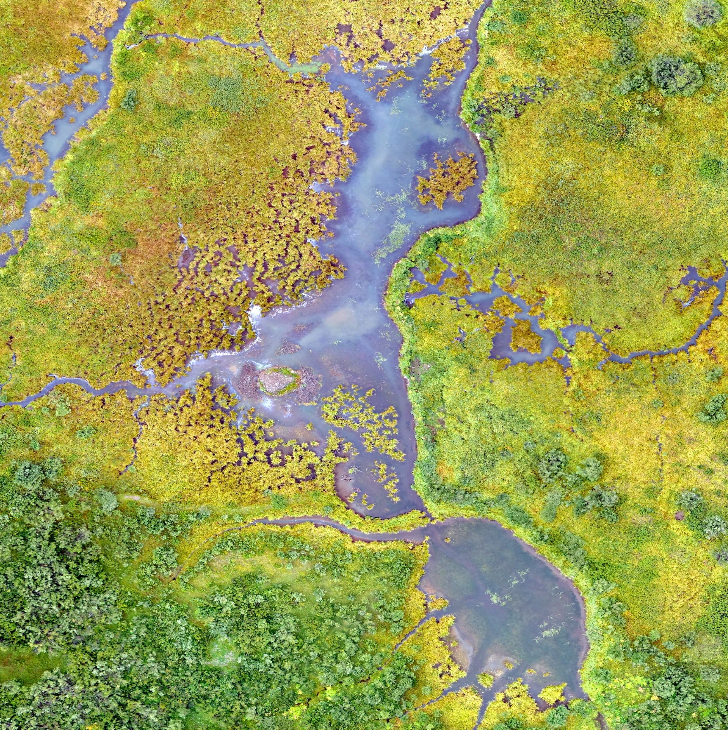 City Council Notes–25 February 2021