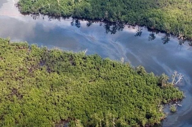 Environmental Contamination