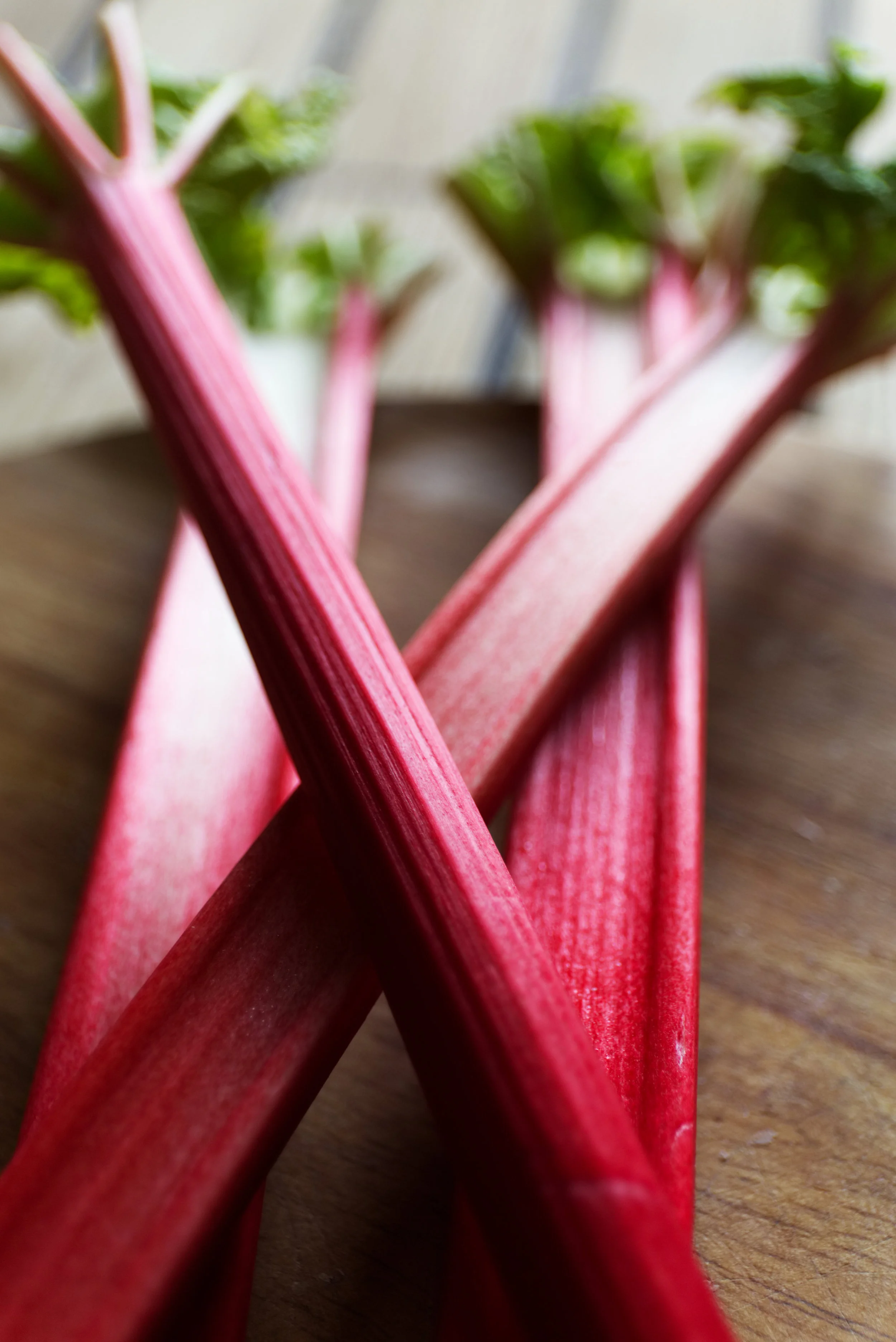 Rhubarb 9026.jpg