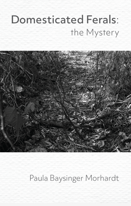 Domesticated Ferals: The Mystery - April 2026