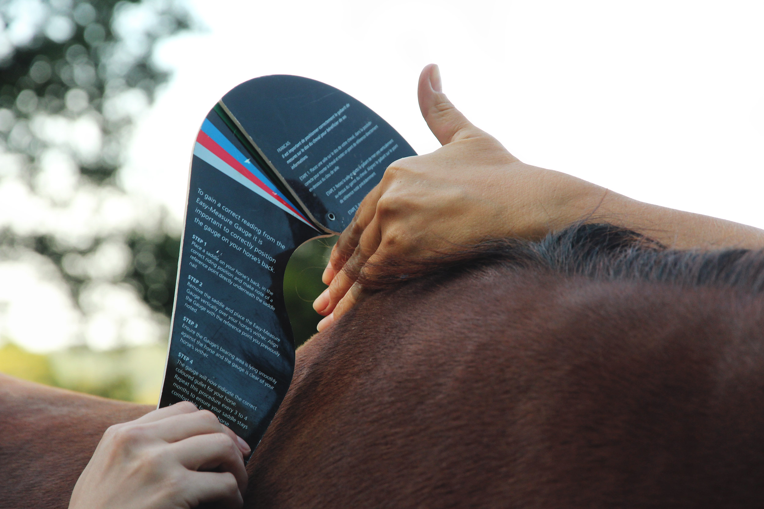 saddle fitting mesure