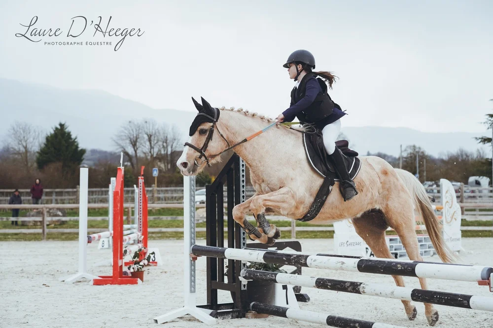 | CSO Equisport Savoie Les Marches - Pension Stage Comp&eacute;tition 

Les photos du CSO sont en ligne ici: https://lauredheeger.lumys.photo/cso-les-marches-10-03-2024

Le m&eacute;lange de soleil et de pluie a donn&eacute; de jolies lumi&egrave;res