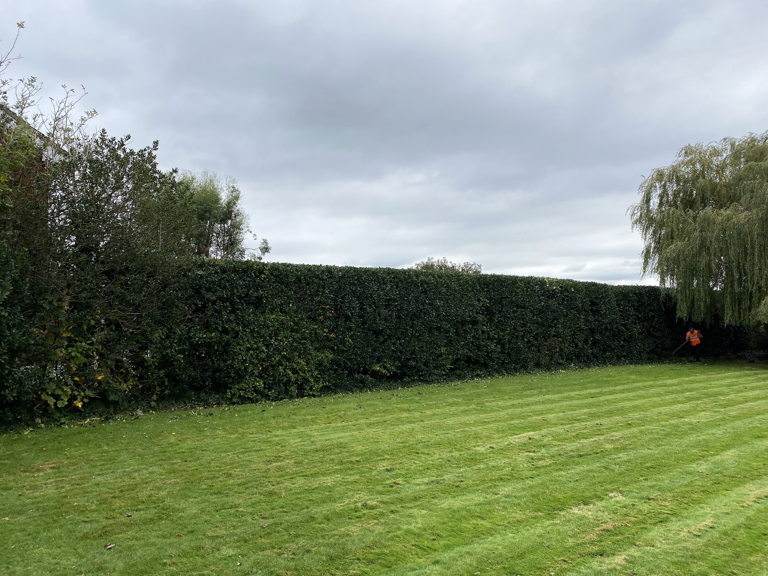 paul-hedge-cutting-4.jpg