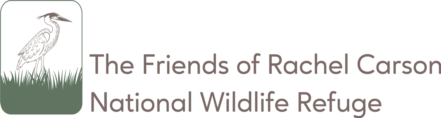The Friends of Rachel Carson National Wildlife Refuge
