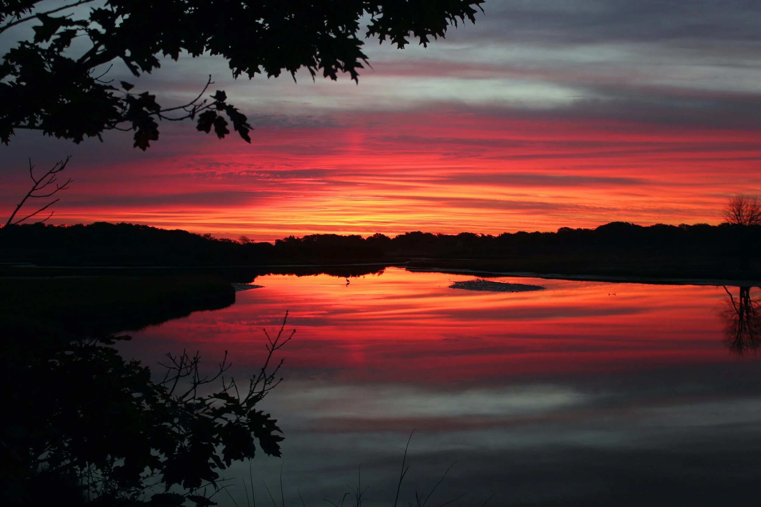 Morning Colors - Judy Plouffe edited copy.jpeg