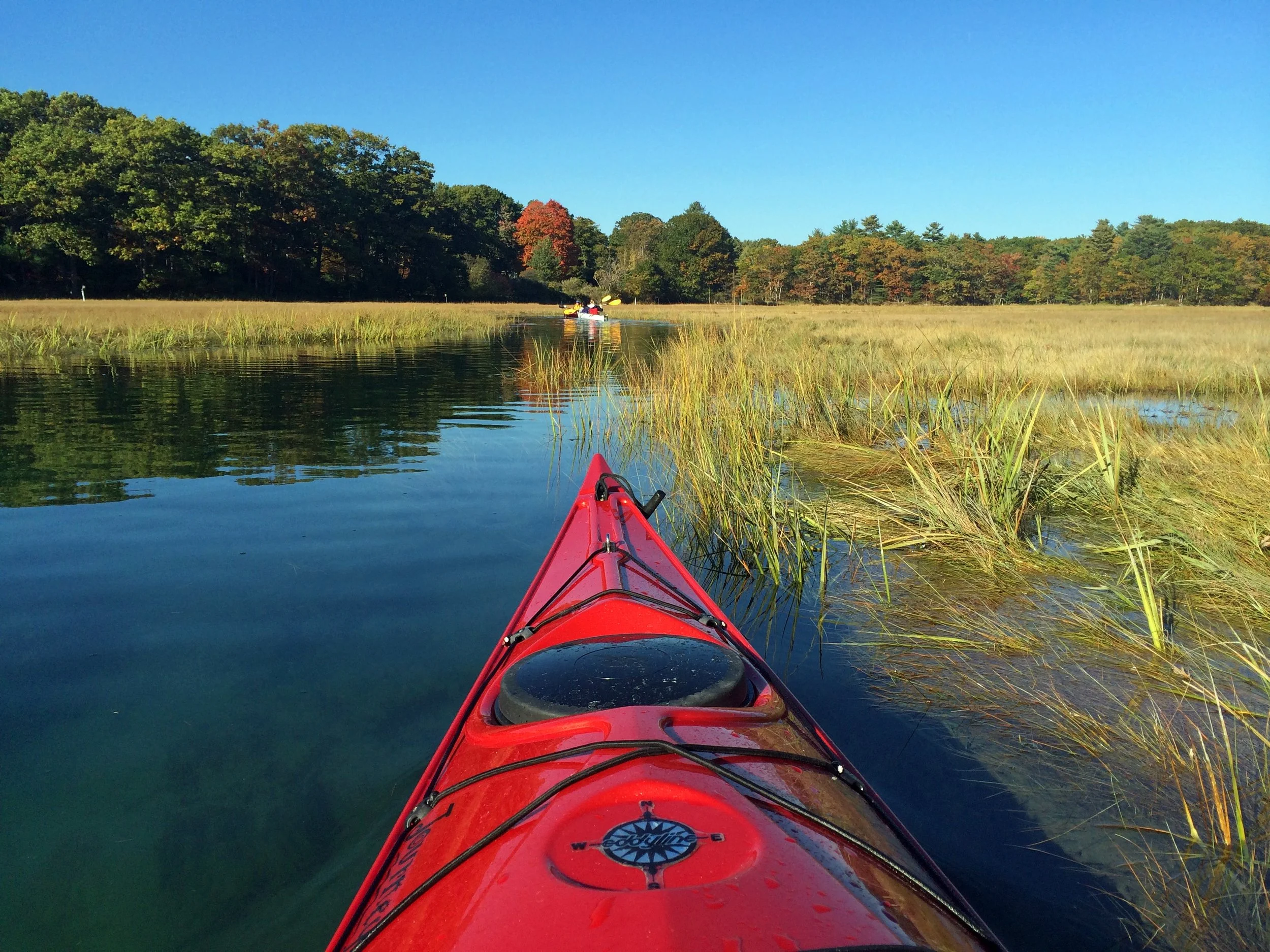 Paddling Quiet Waters - Betsy Wish - edited copy.jpeg