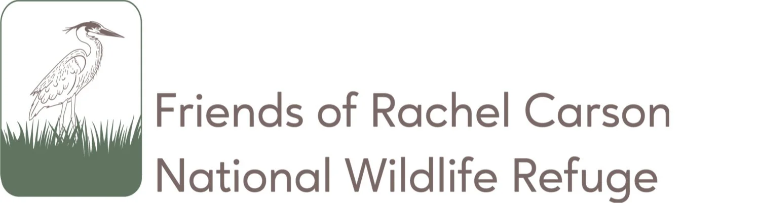 Friends of Rachel Carson National Wildlife Refuge