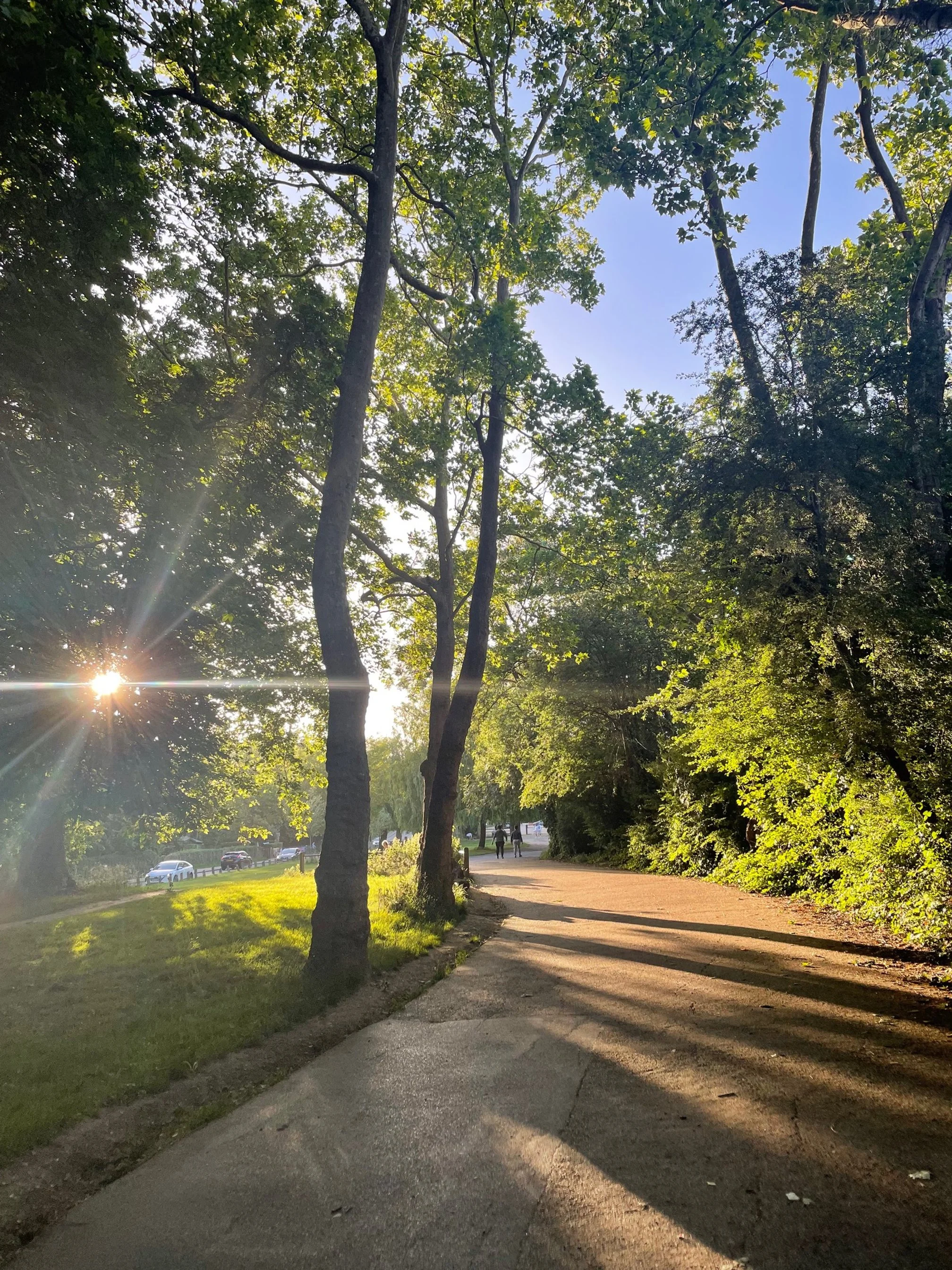 Trauma: the question is not 'What is wrong with you?' but 'What has happened to you?'