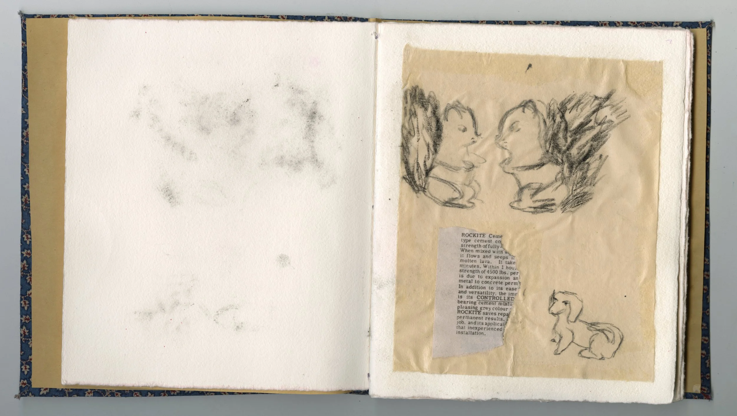 bluehardcover.jpg