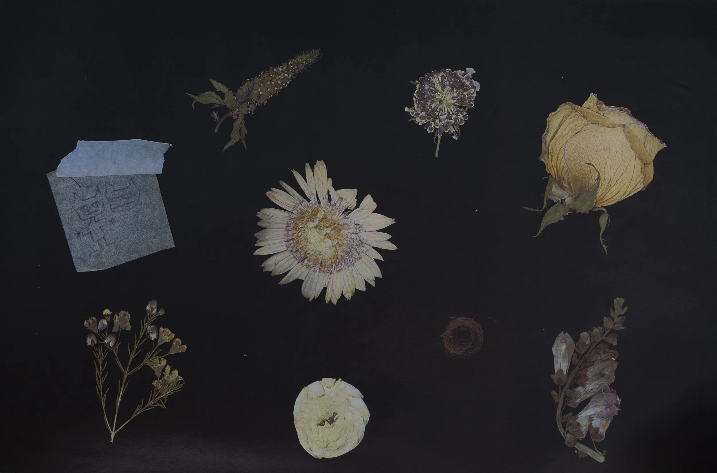 082925_AUTOPSY-35.jpg