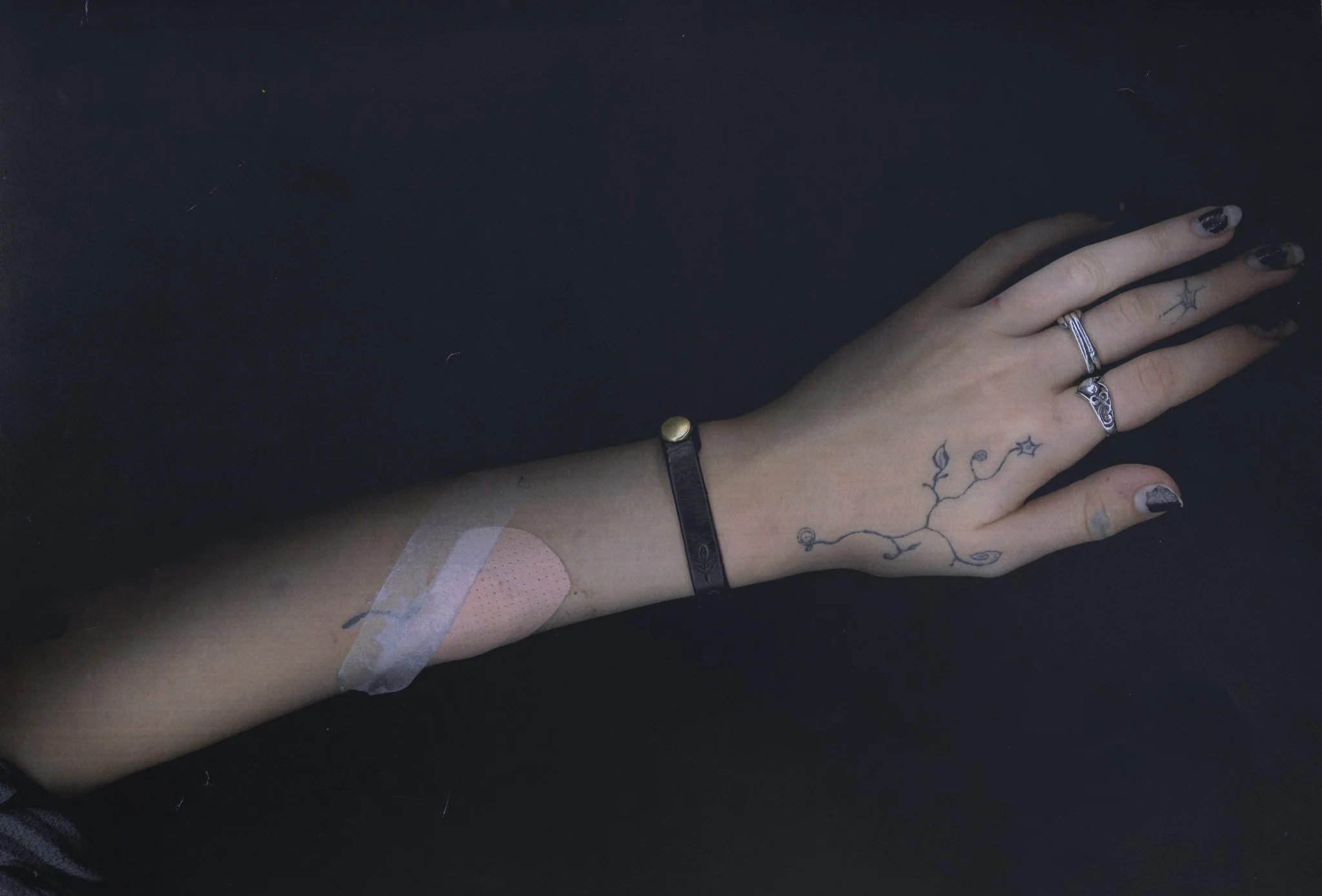 082925_AUTOPSY-09.jpg