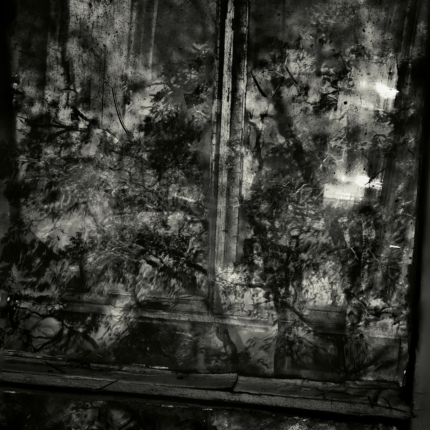 Cat 1152-1088, Window Reflections, Bar Harbor, Maine, 2011, Alan Henriksen.jpg