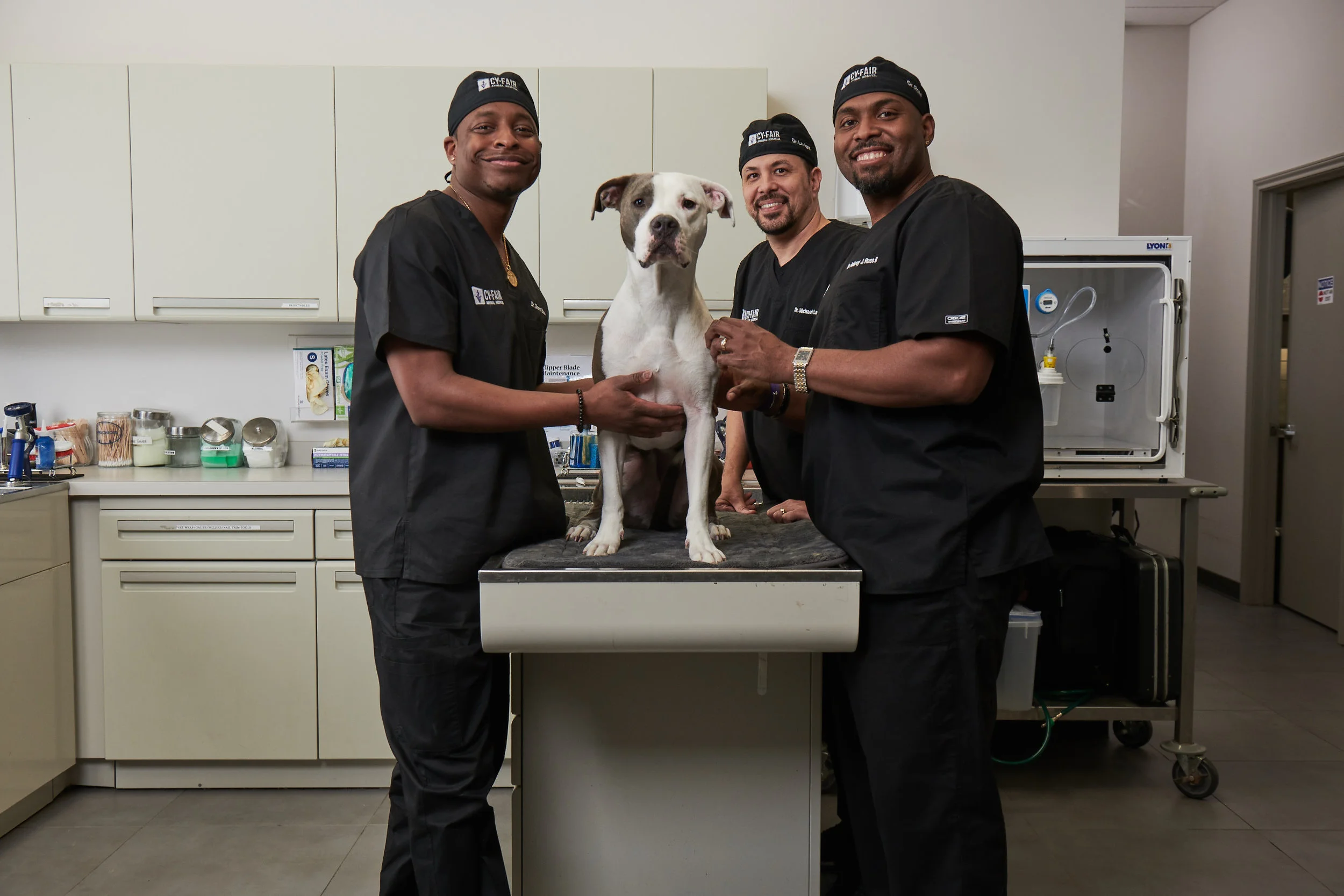 TheVetLifecast.jpg
