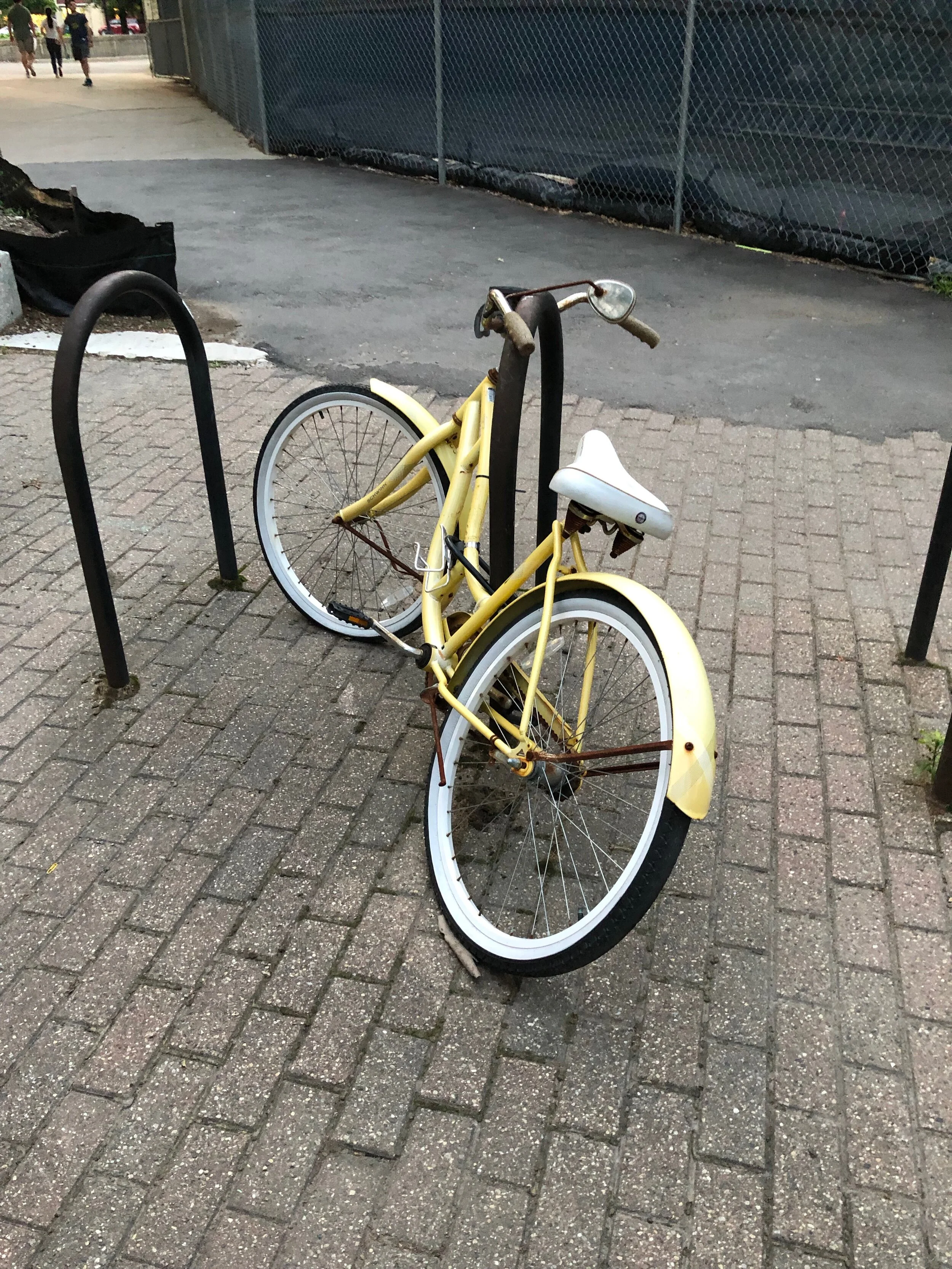 Quarantine 2020: I Just Wanted to Go on a Bike Ride