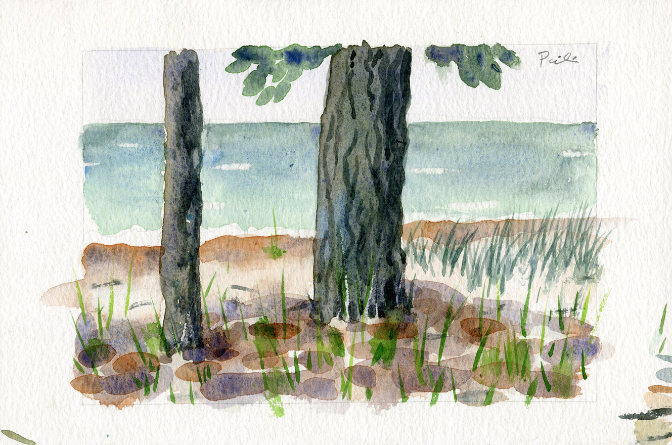 Tree Study