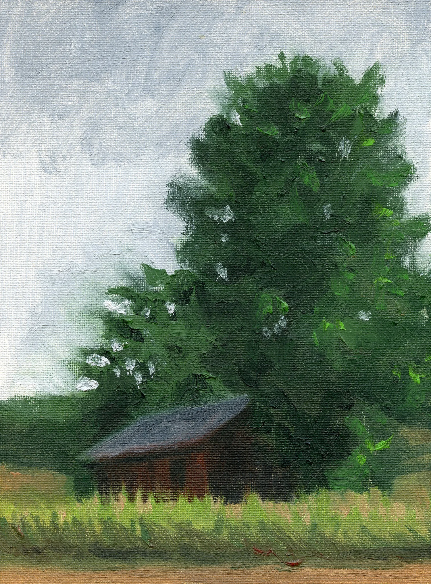 Tool Shed at Thoreson Farm, Port Oneida