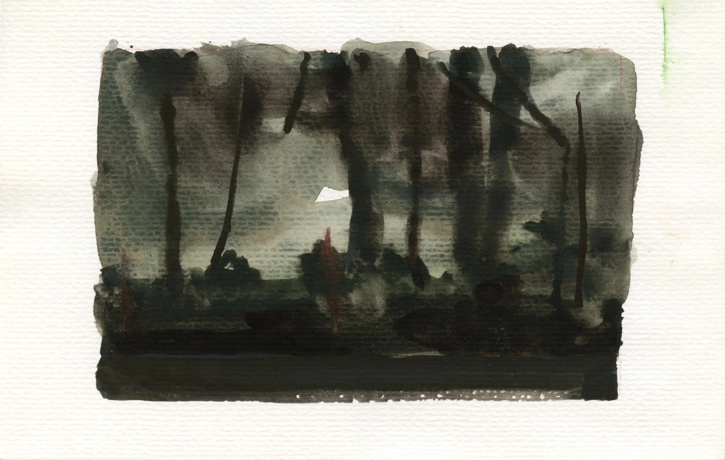 Dark Woods