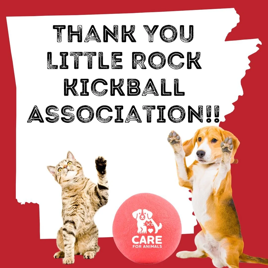 We would like to send a huge thank you to The Little Rock Kickball Association for supporting CARE through their Spring Charity Drive.  LRKA has collected both monetary and food donations to support pets in Central Arkansas.  Thank you to this &quot;