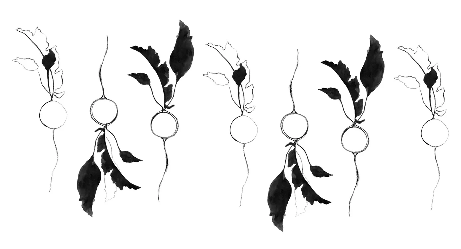 * Illustrations by Heather von Fritz