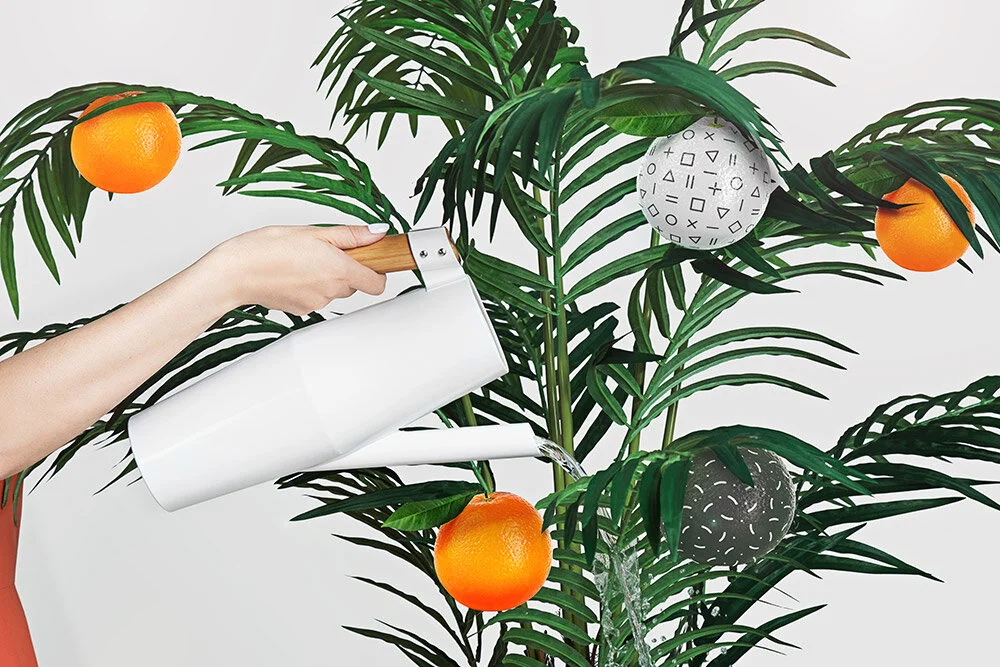 SHAUNA_HAIDER_WE_ARE_BRANCH_3.jpg