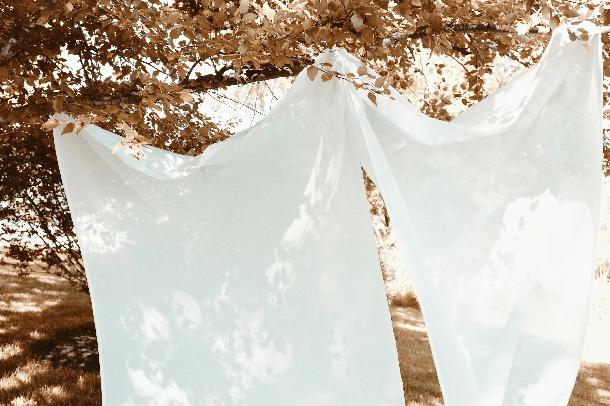 E41CEA20-2A44-4305-B762-CBFD602FBC9B.JPG