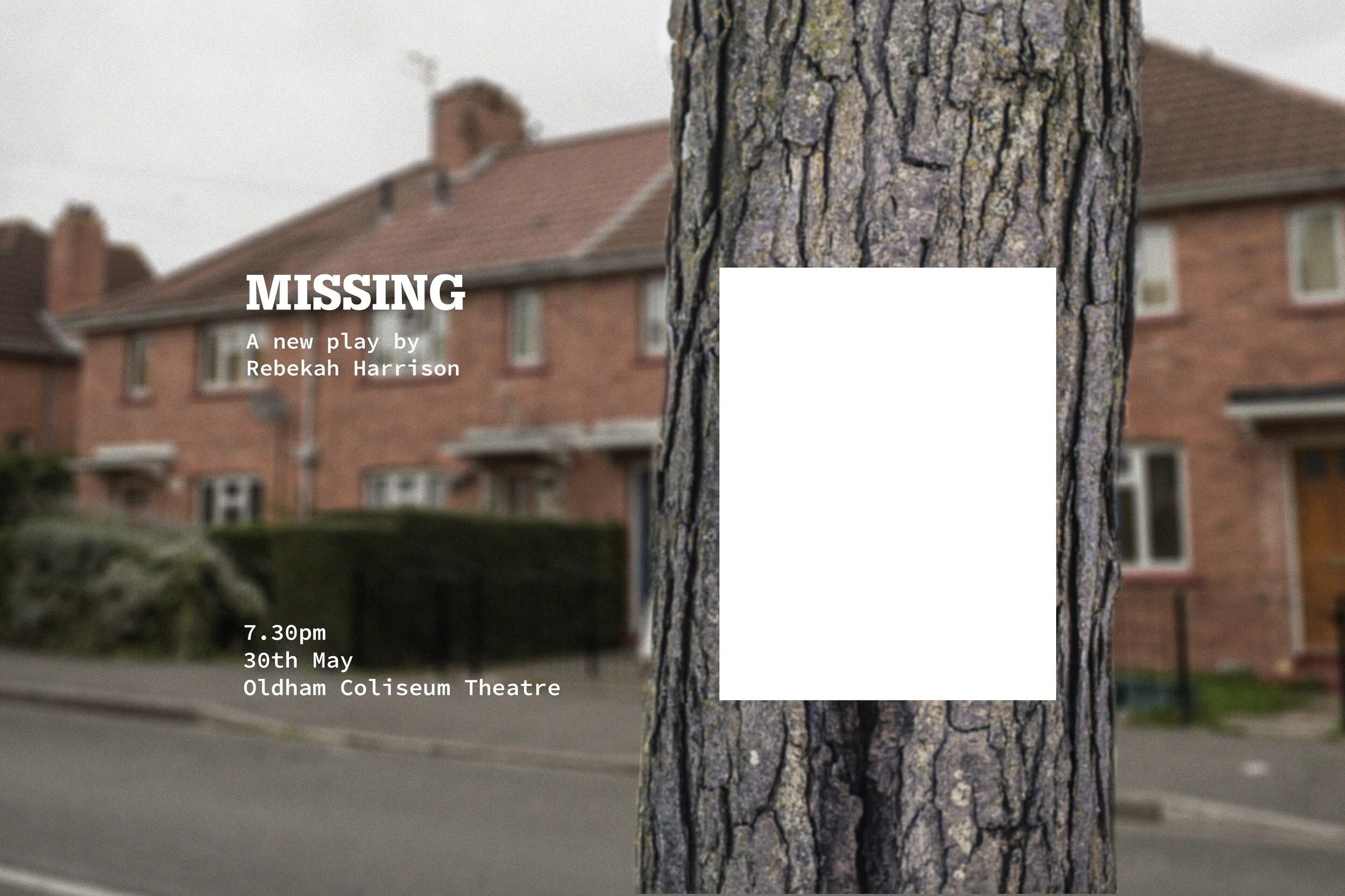 The Missing Poster.jpeg
