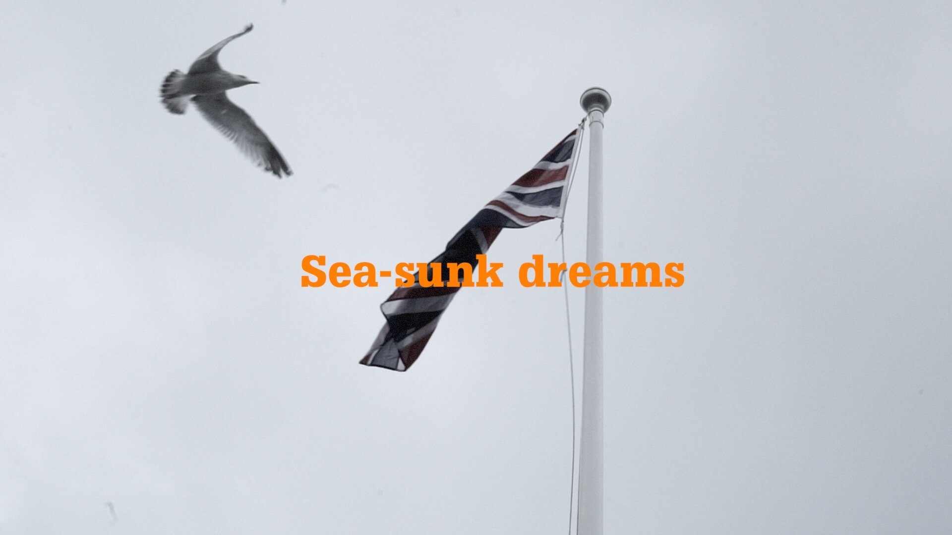 Seasick Dreams 02.jpg