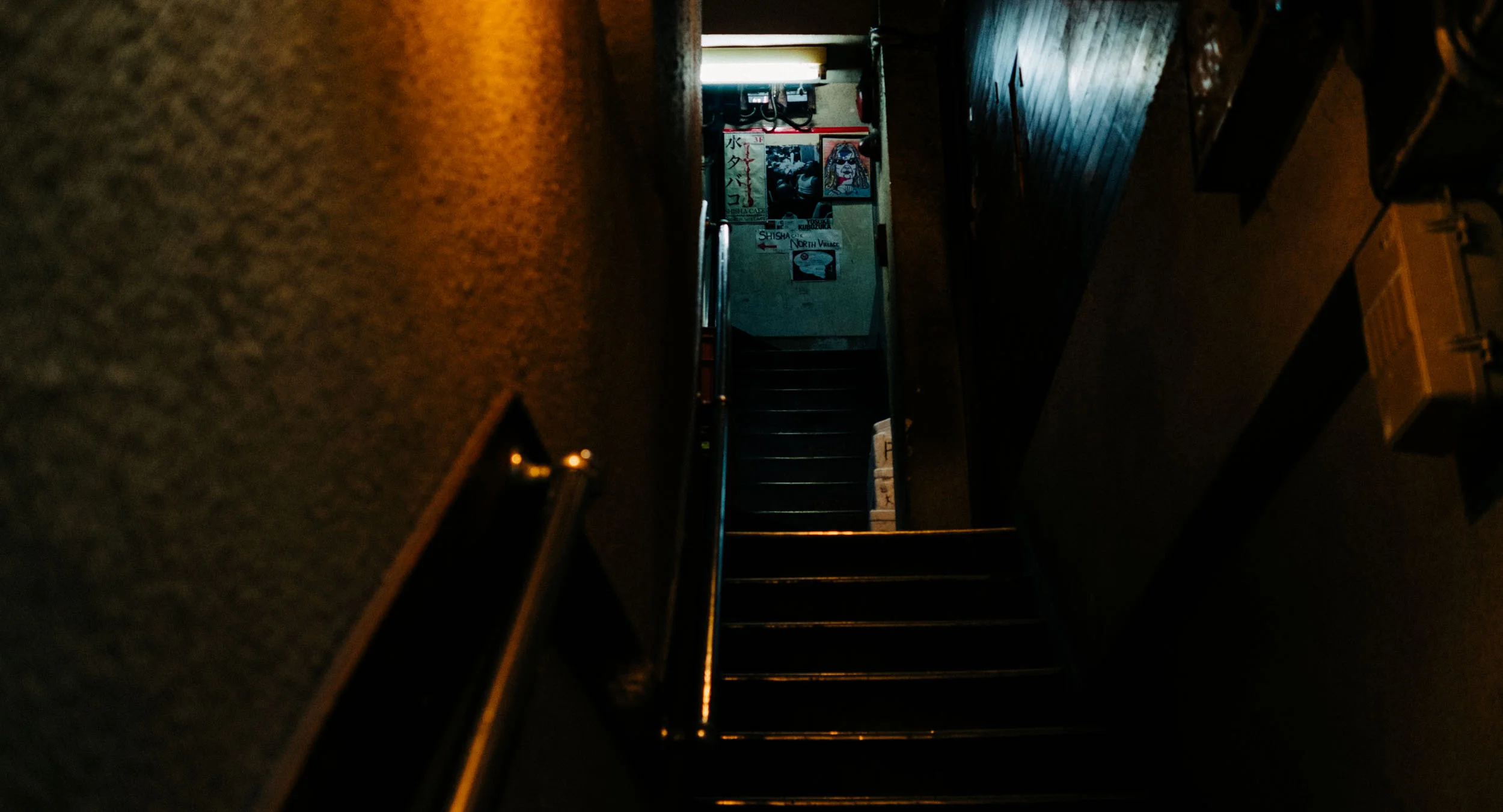_DSF4219.jpg