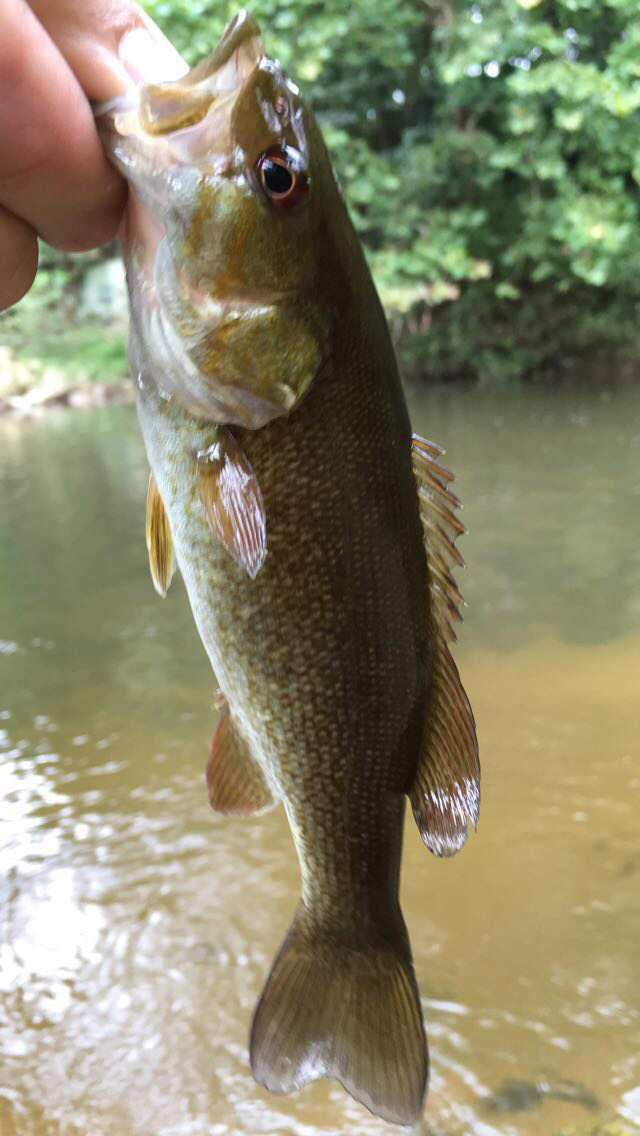 IMG_5005.jpg