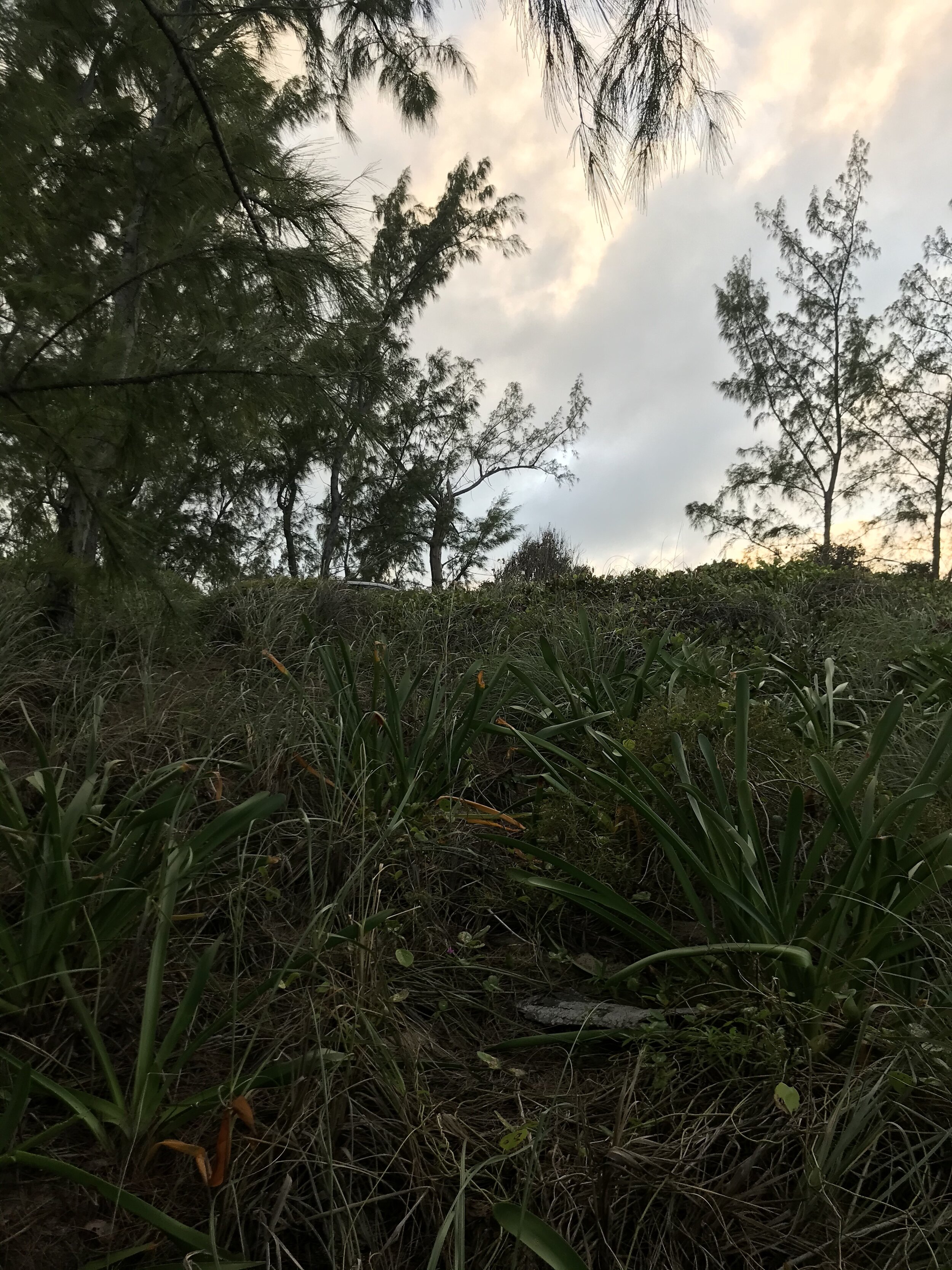 Exploring0080.jpg