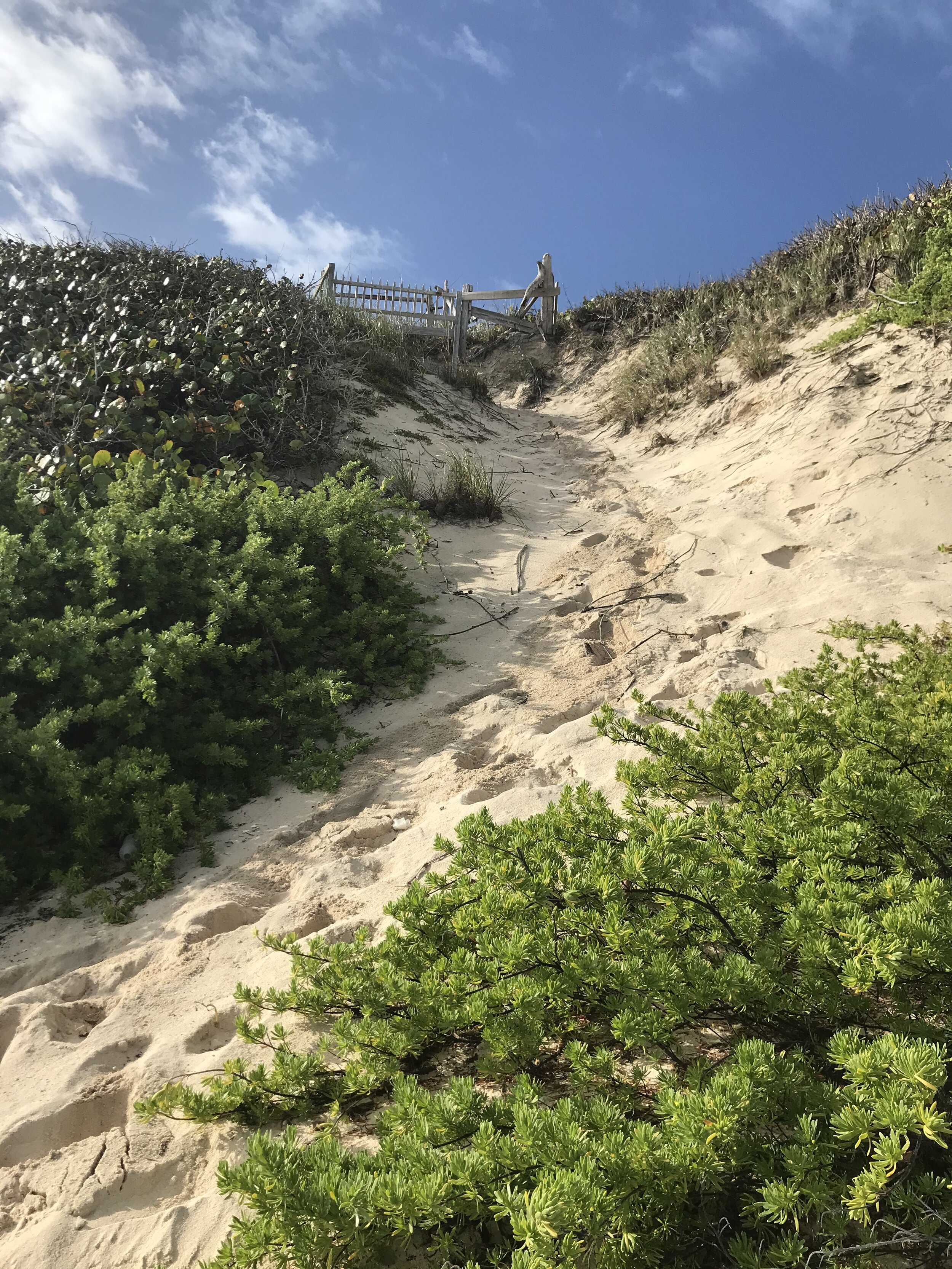 SurfersBeach092.jpg