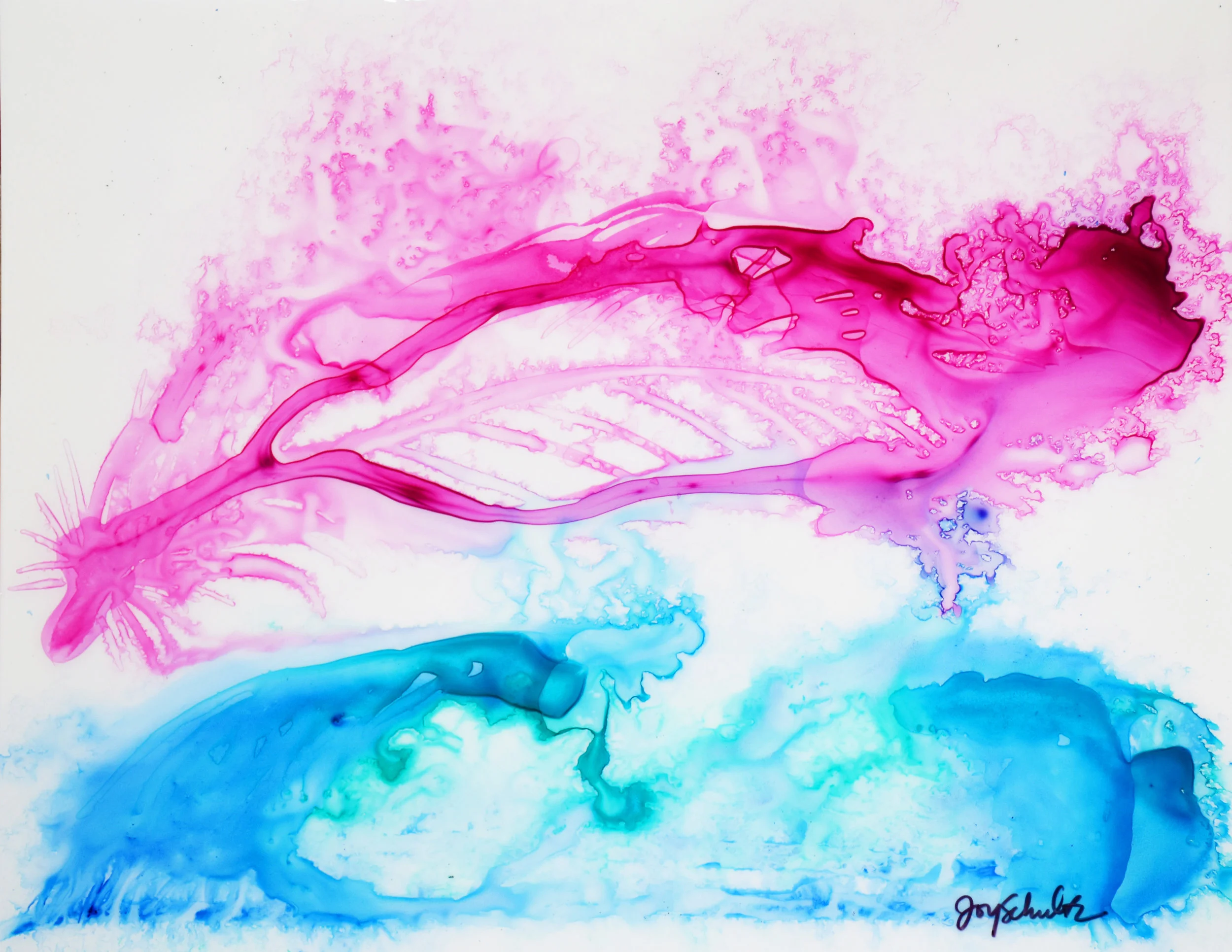 Pink feather and wave copy.jpg