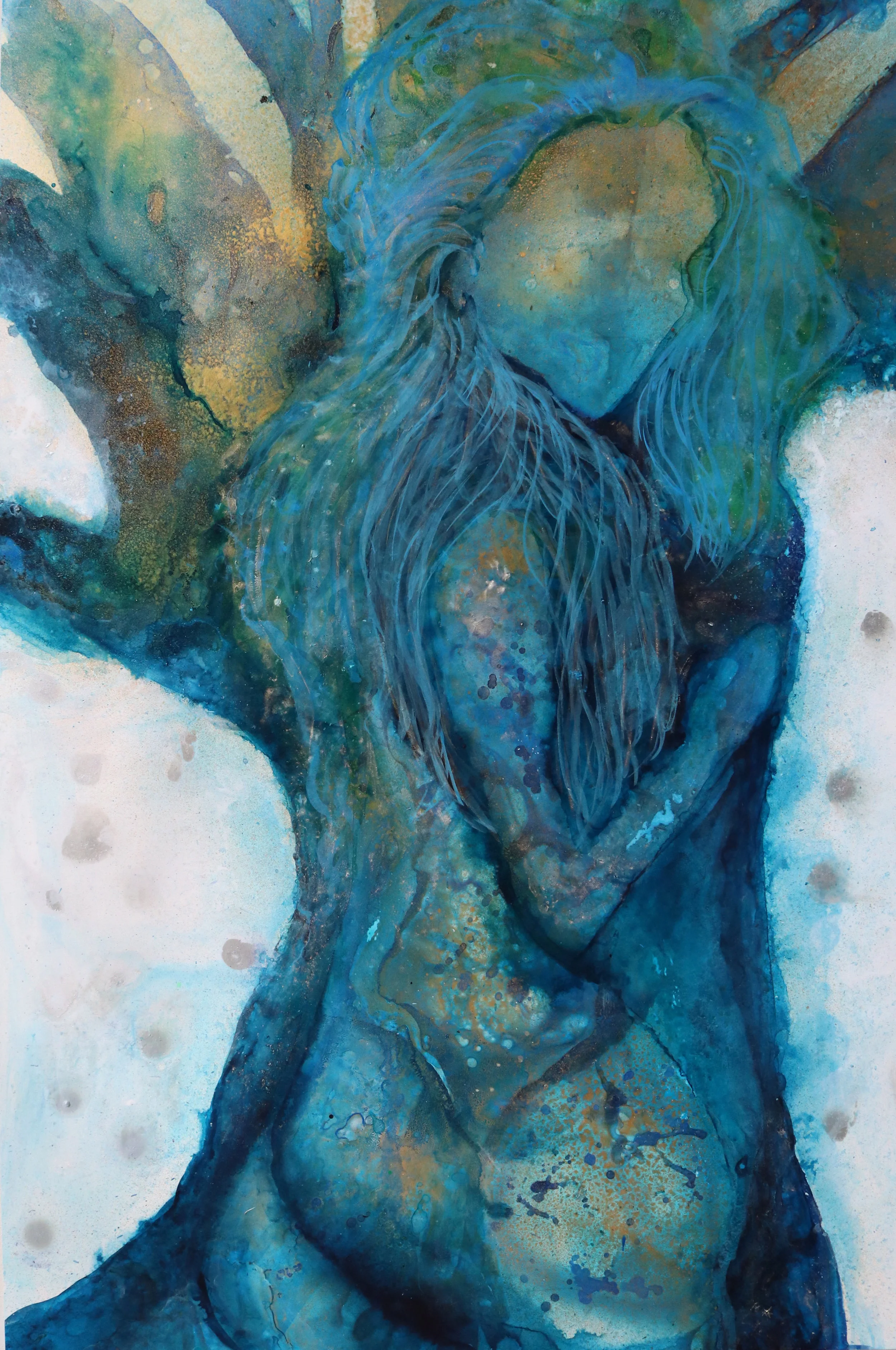 Tree Nymph Don't Look Back.jpg