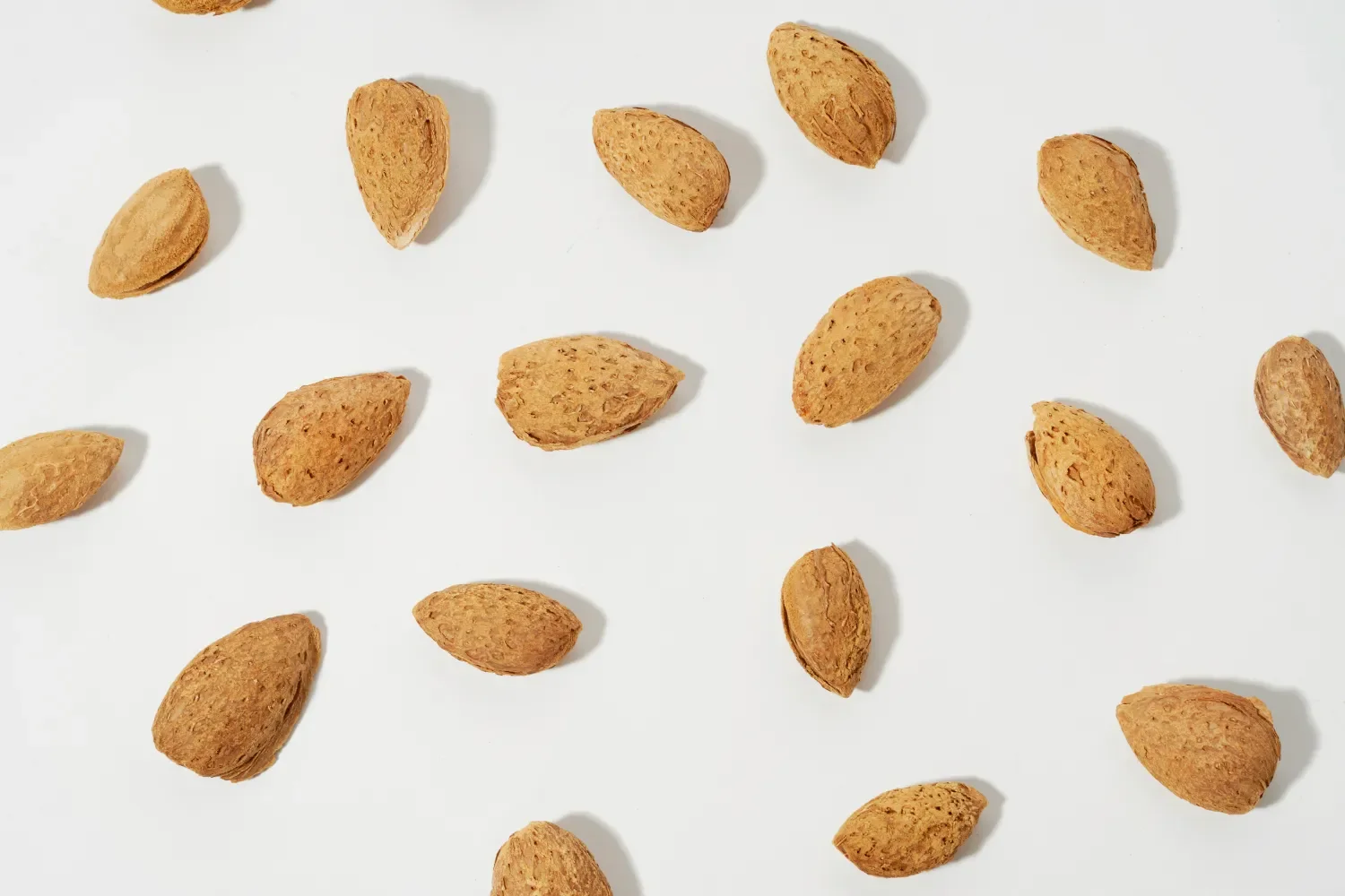 Almendras en sus cáscaras sobre fondo blanco