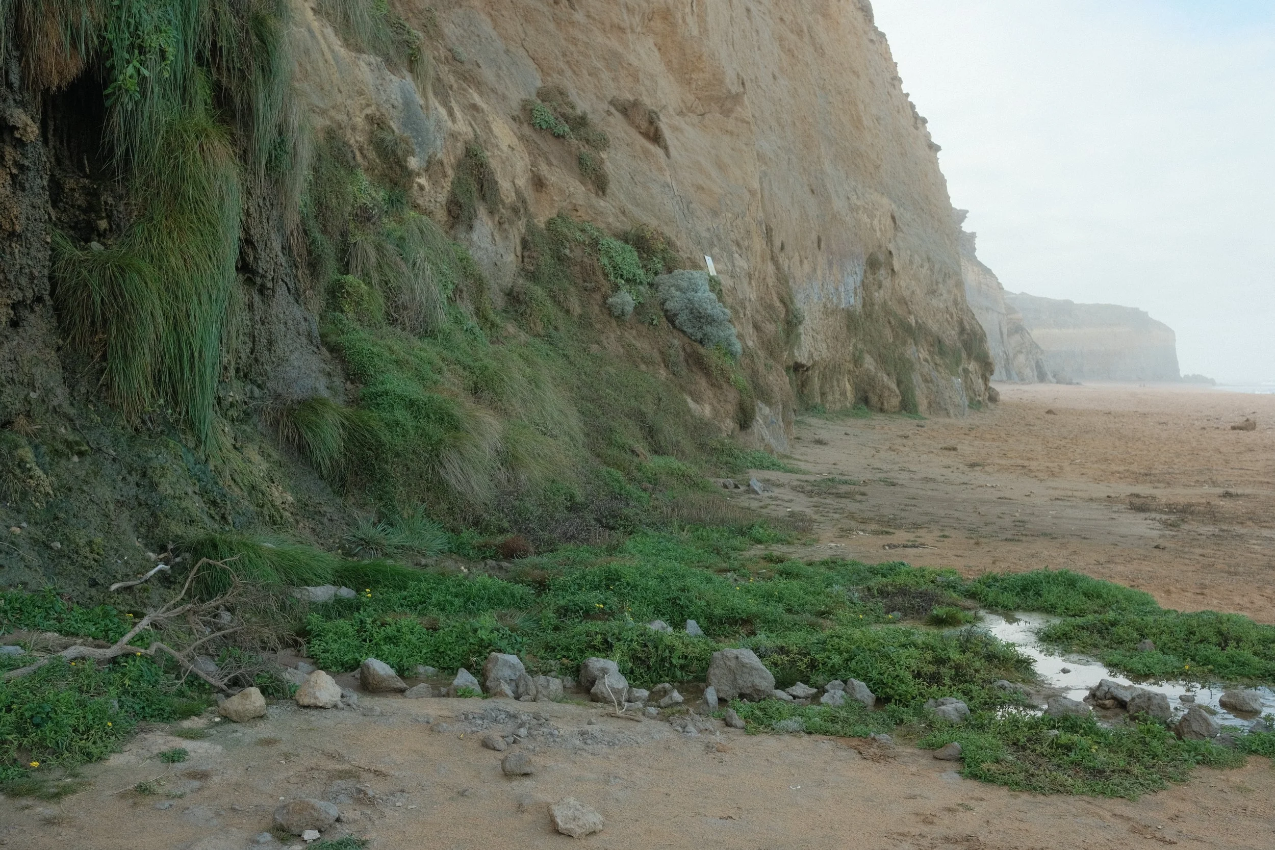 DSCF4752.JPG