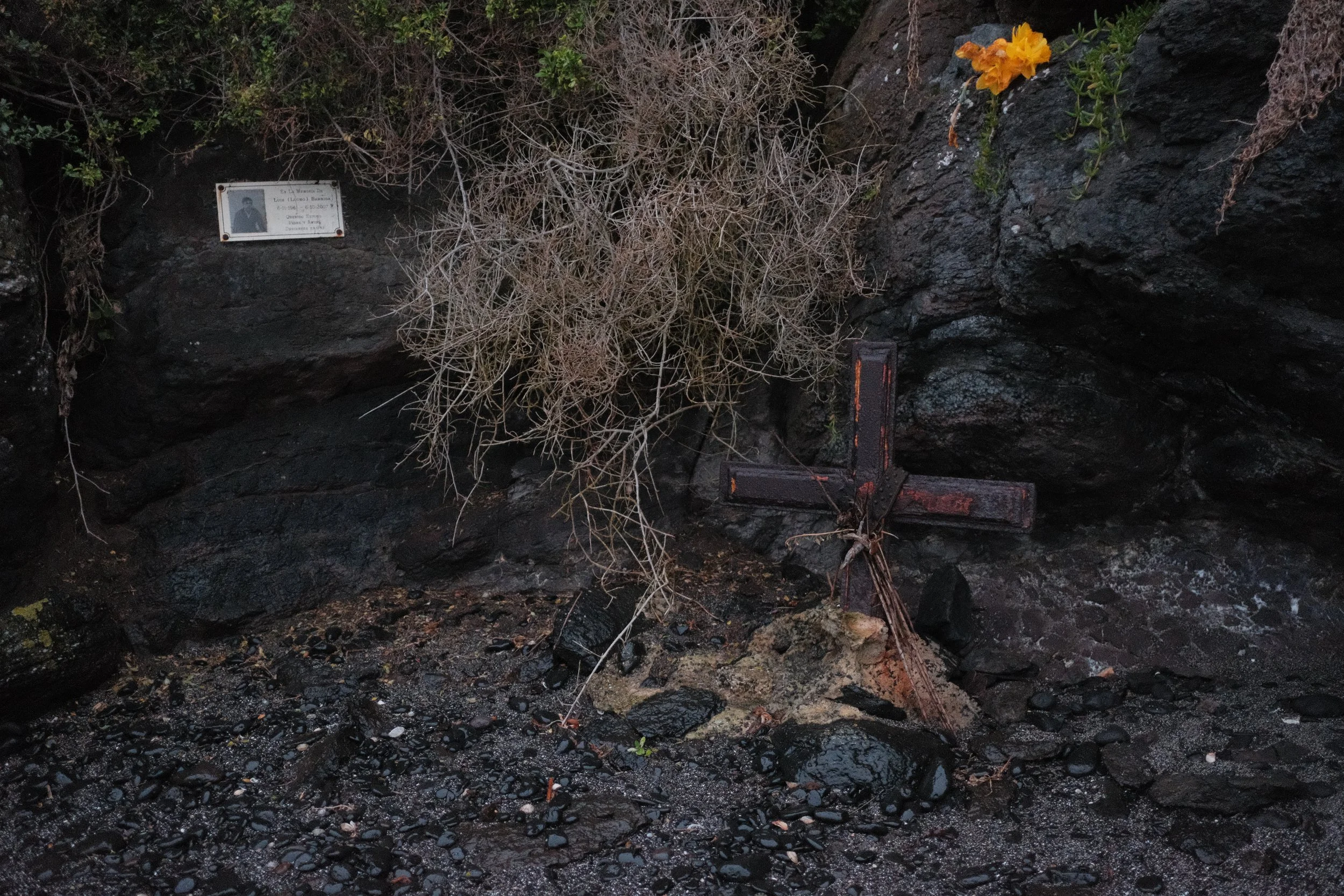 DSCF5956.JPG