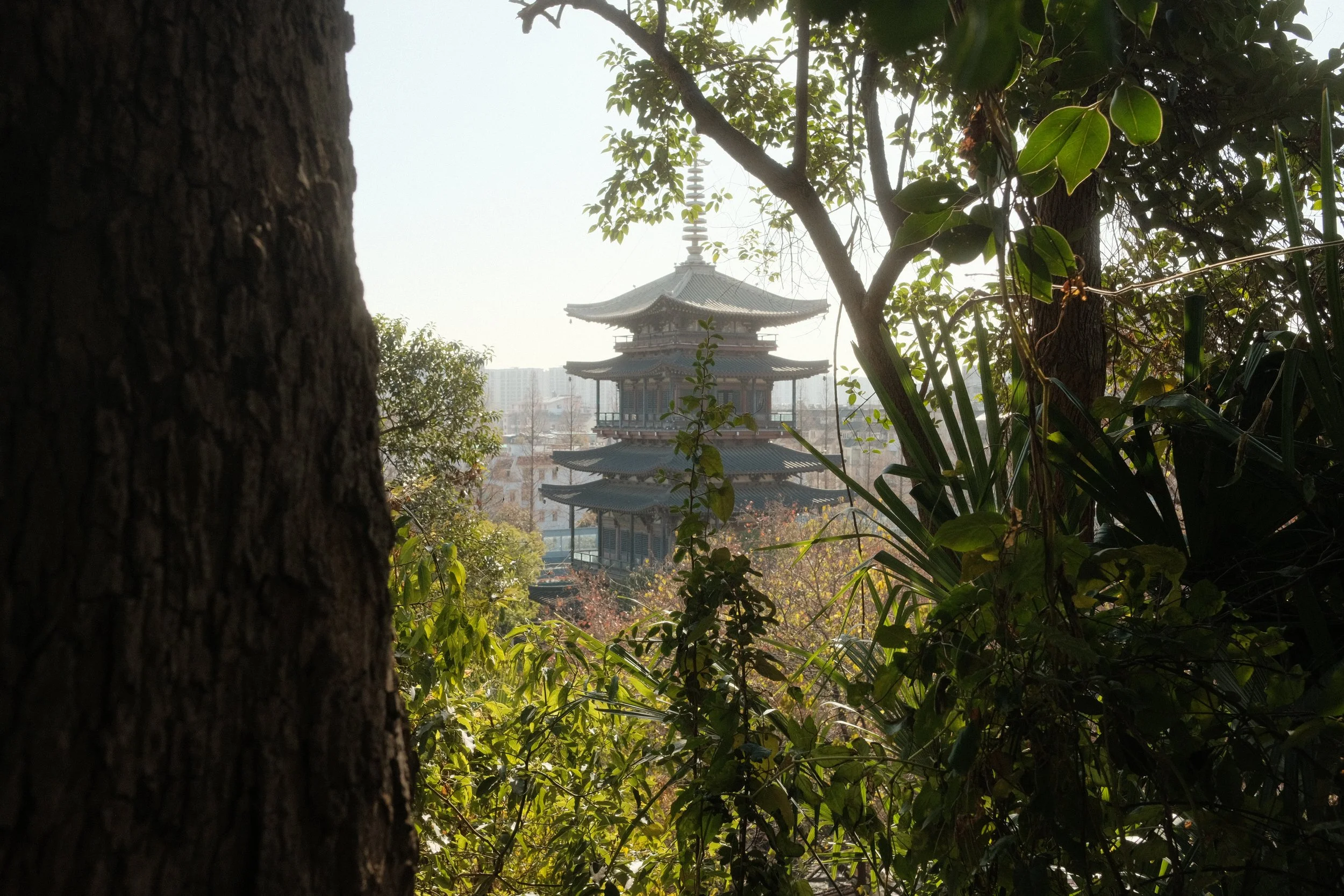 DSCF2597.JPG