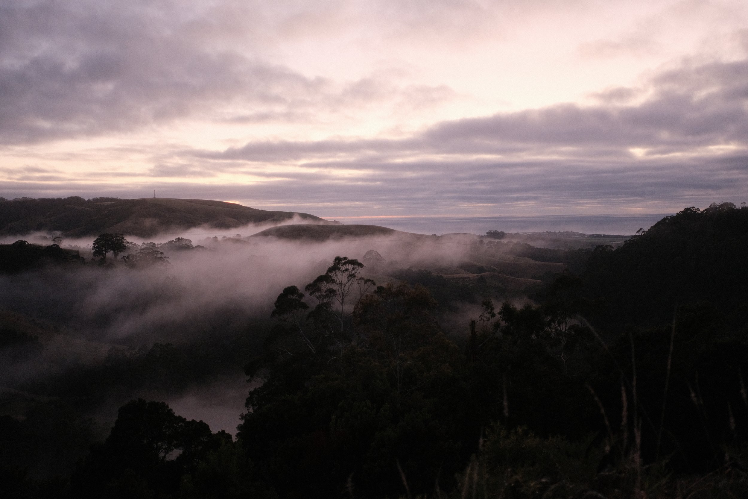 DSCF4660.JPG