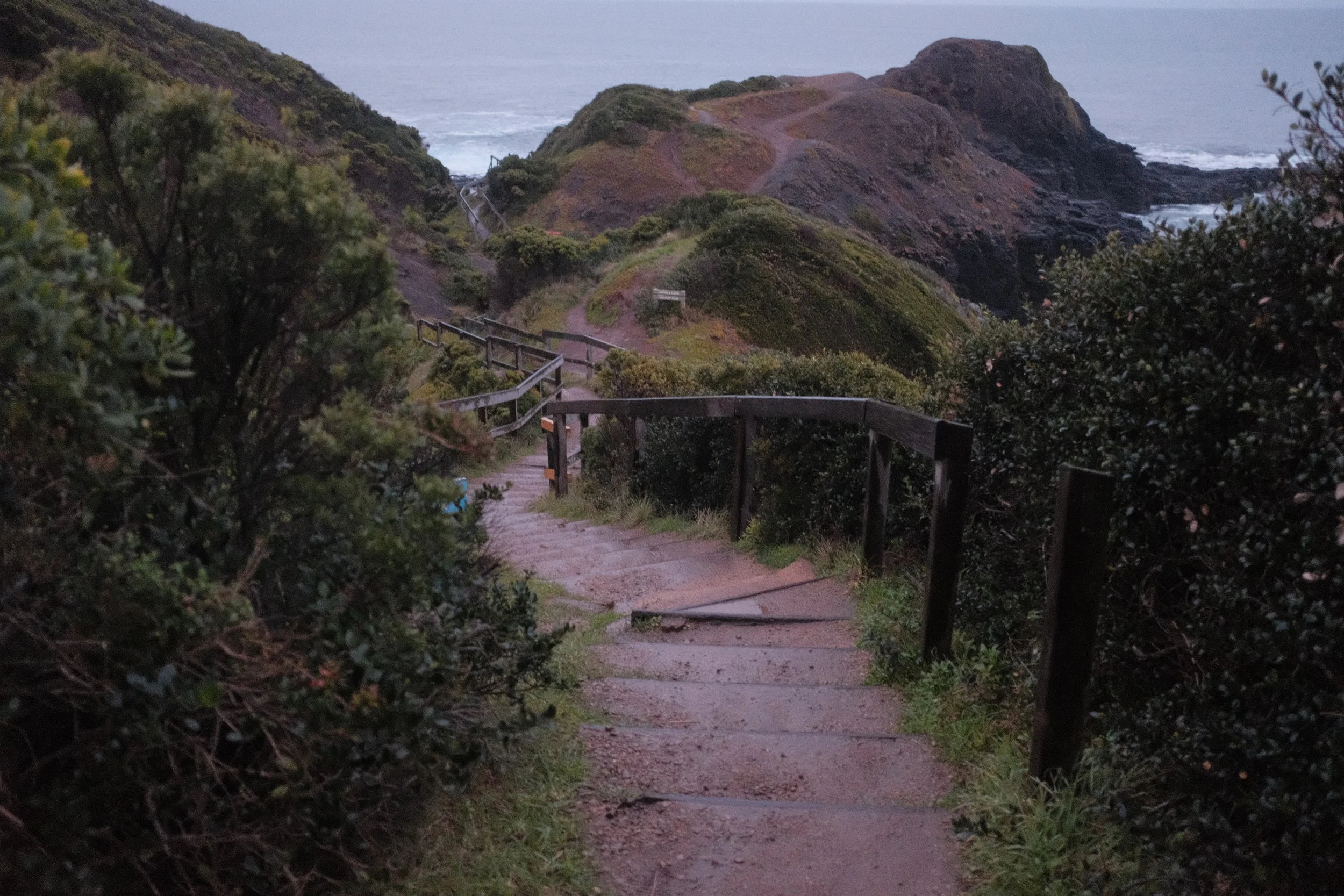 DSCF5936.JPG
