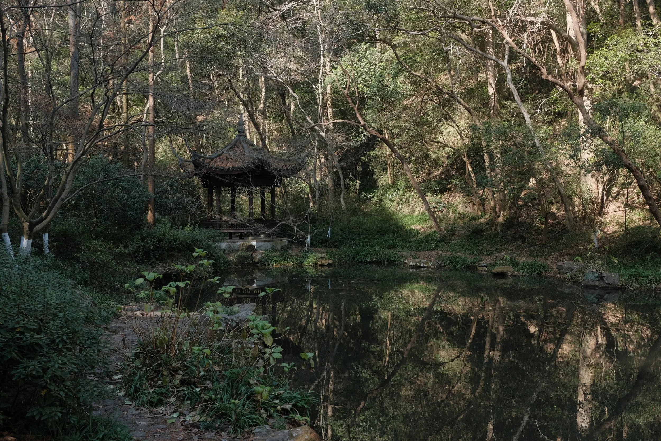 DSCF2722.JPG