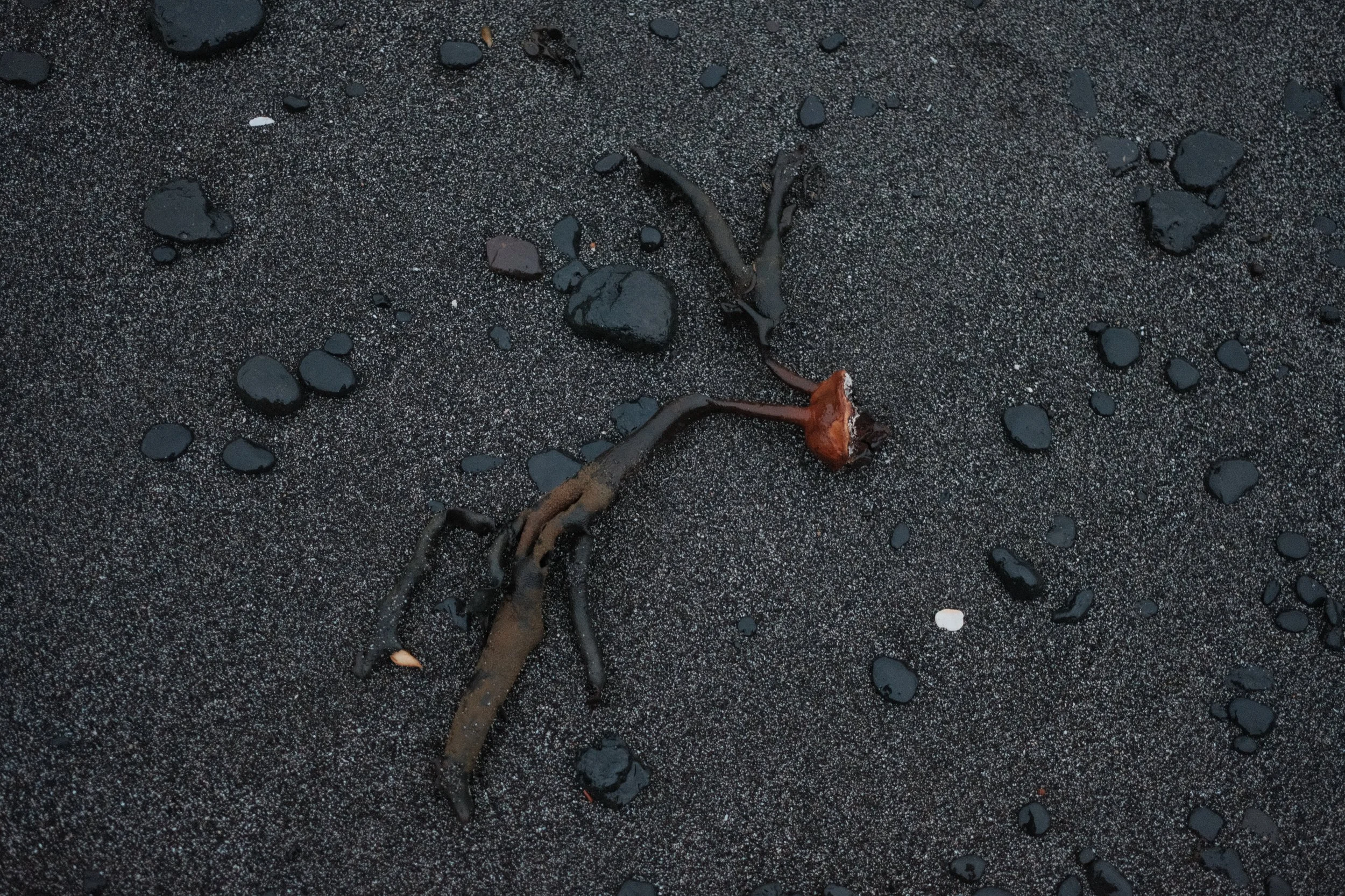 DSCF5959.JPG